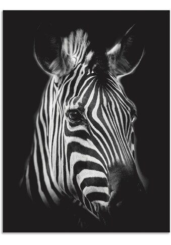 Artland Paveikslas »Zebra« Zebra paveikslas/nu...