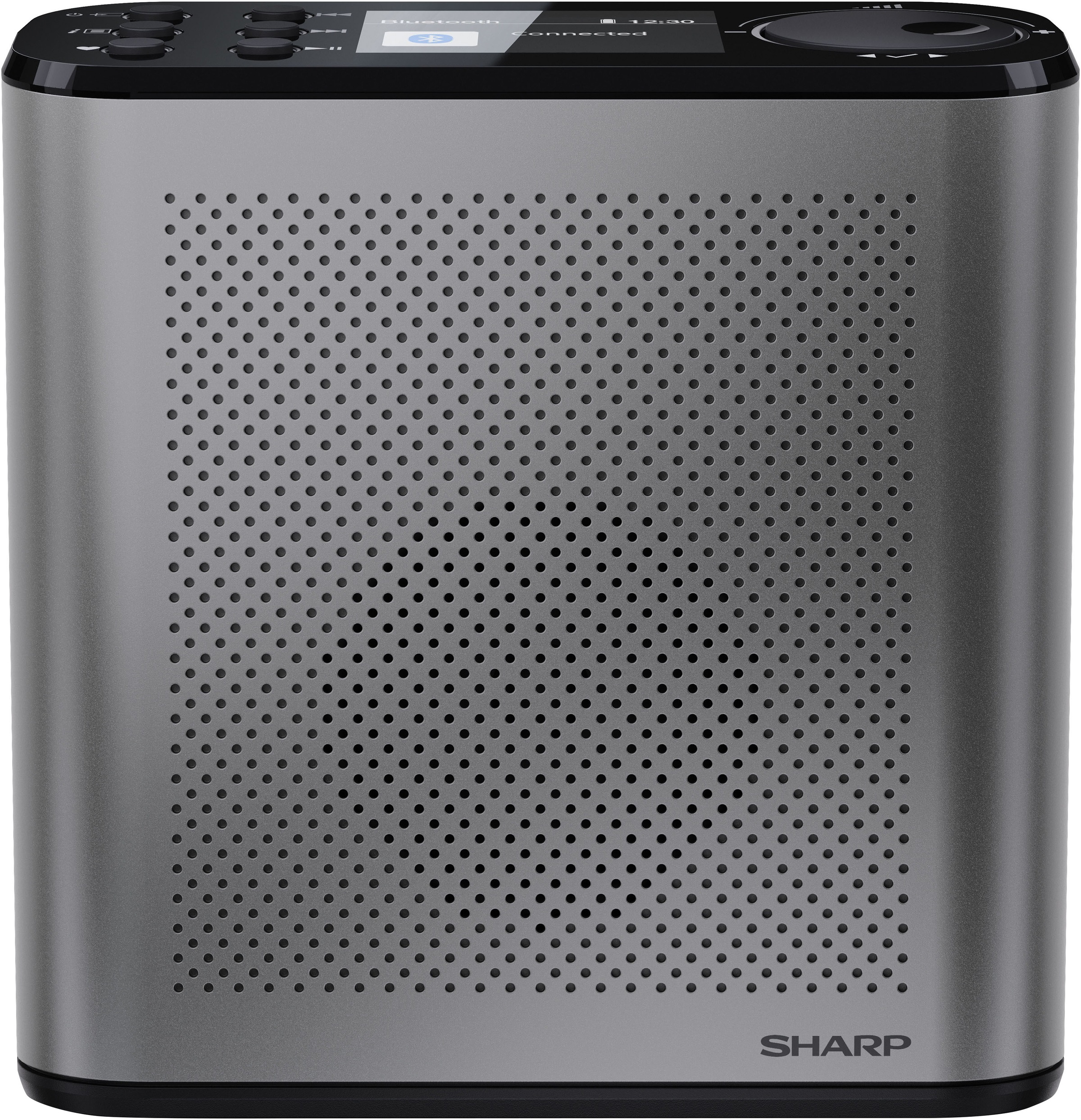 Sharp Digitalradio (DAB+) »DR-P530(GY)« (Bluetooth Digitalradio (DAB+) | UKW mit RDS )