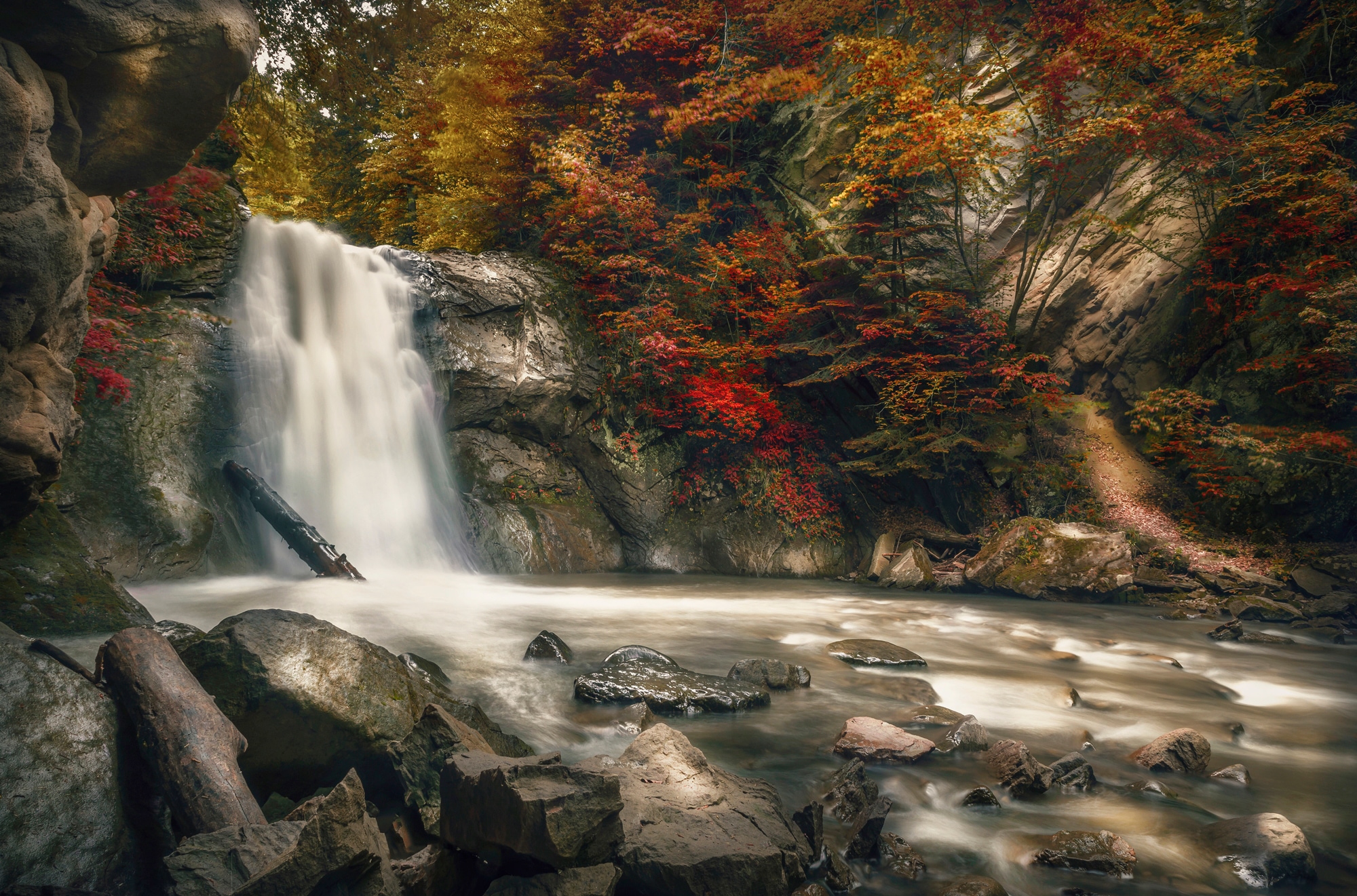 Papermoon Fototapete "WASSERFALL-HERBST WALD MEER FLUSS INSEL STEINE BÄUME"