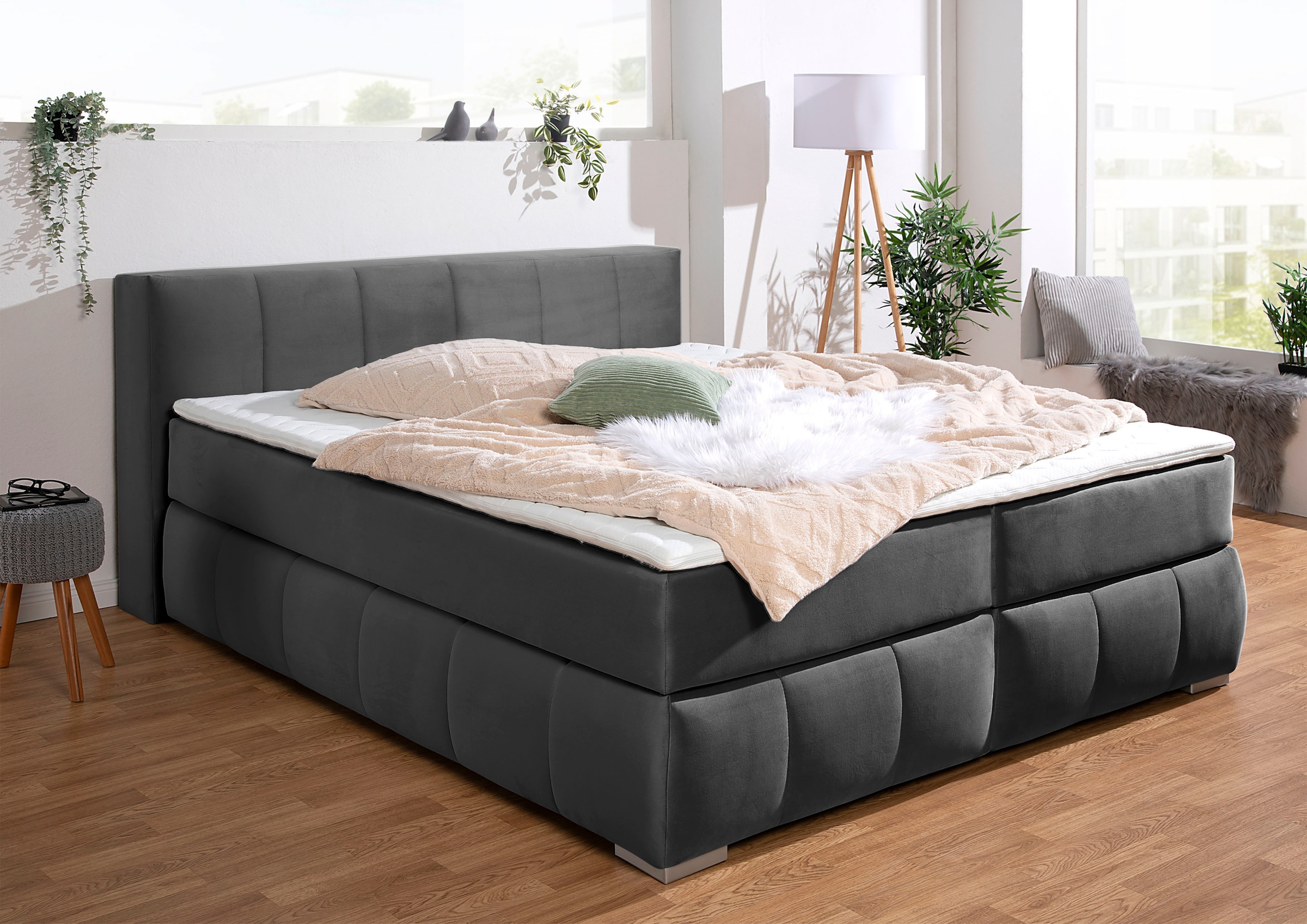 Boxspringbett HOME AFFAIRE "Chelles", grau (schiefer), B:167cm L:225cm, Samtoptik (100% Polyester);Bezug der Spiegelfläche Matratzendrell aus 100% Polyester;Struktur fein 100% Polyester), Komplettbetten, Boxspringbett, inkl. Kaltschaumtopper, in 5 Breiten