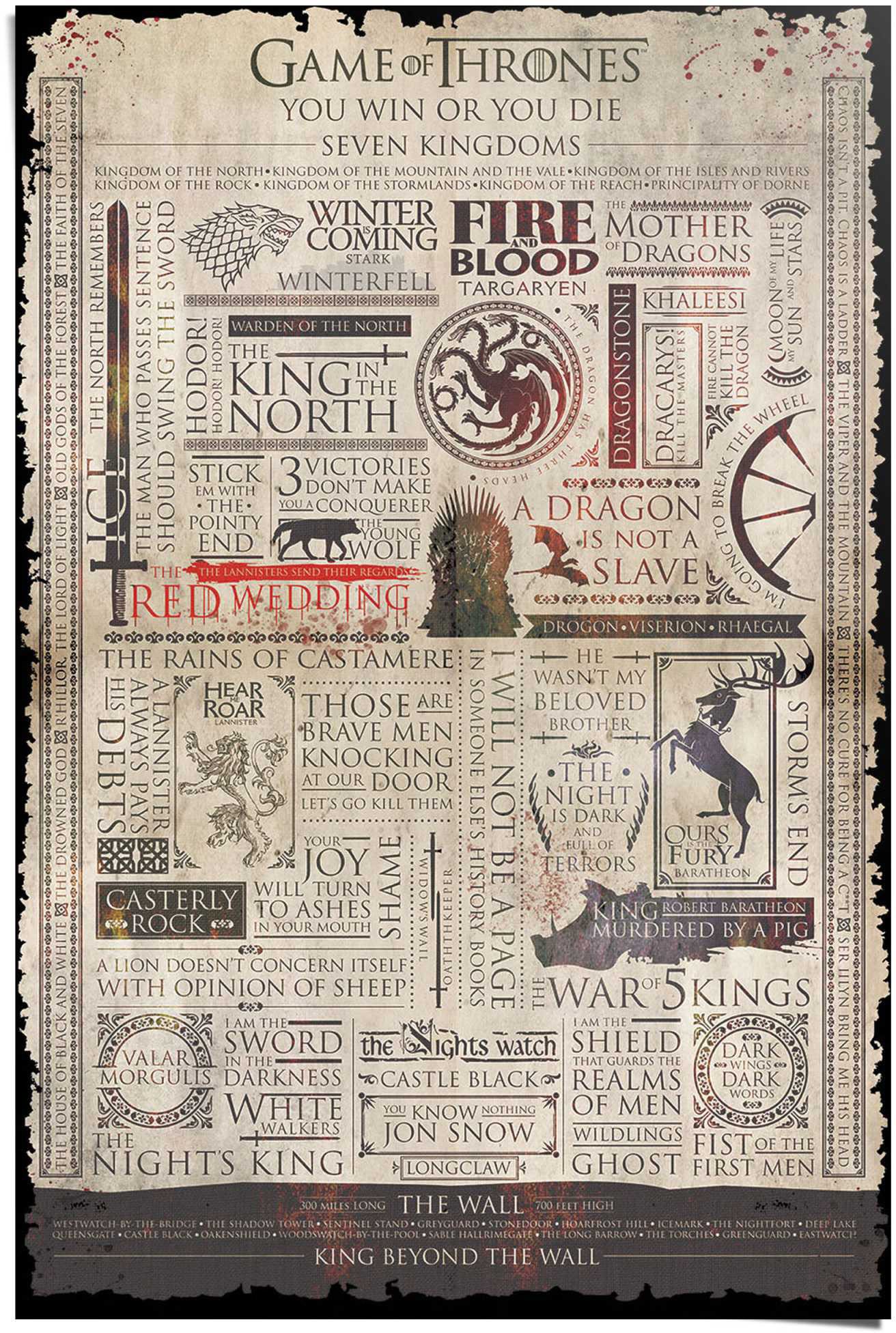 Reinders! Poster »Game of Thrones Infografik« (1...