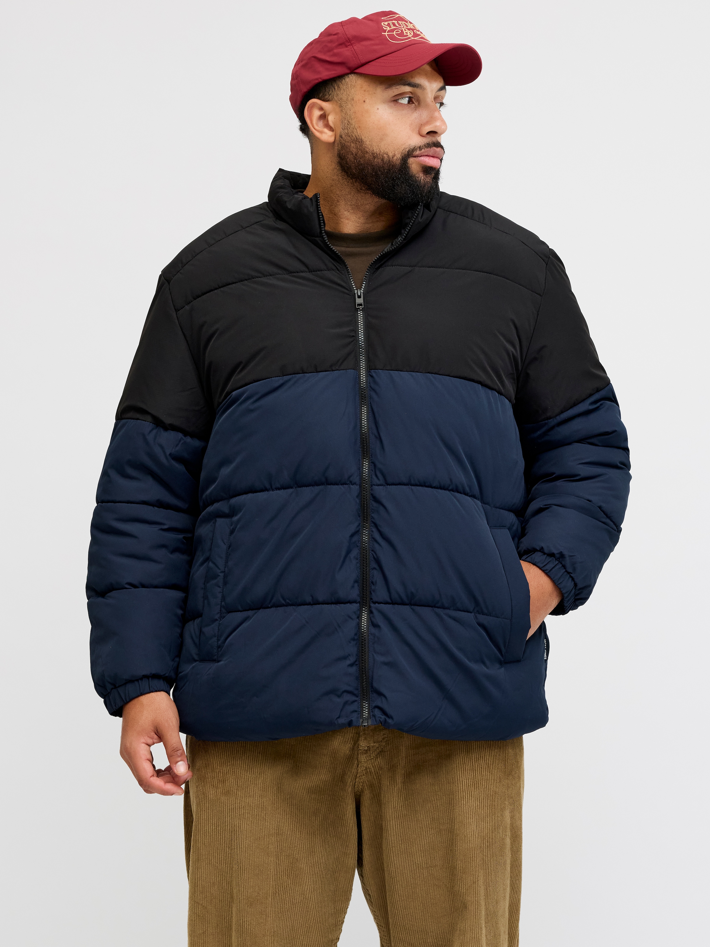 Jack & Jones PlusSize Steppjacke »JJMAZE PUFFER COLLAR PLS« ohne Kapuze