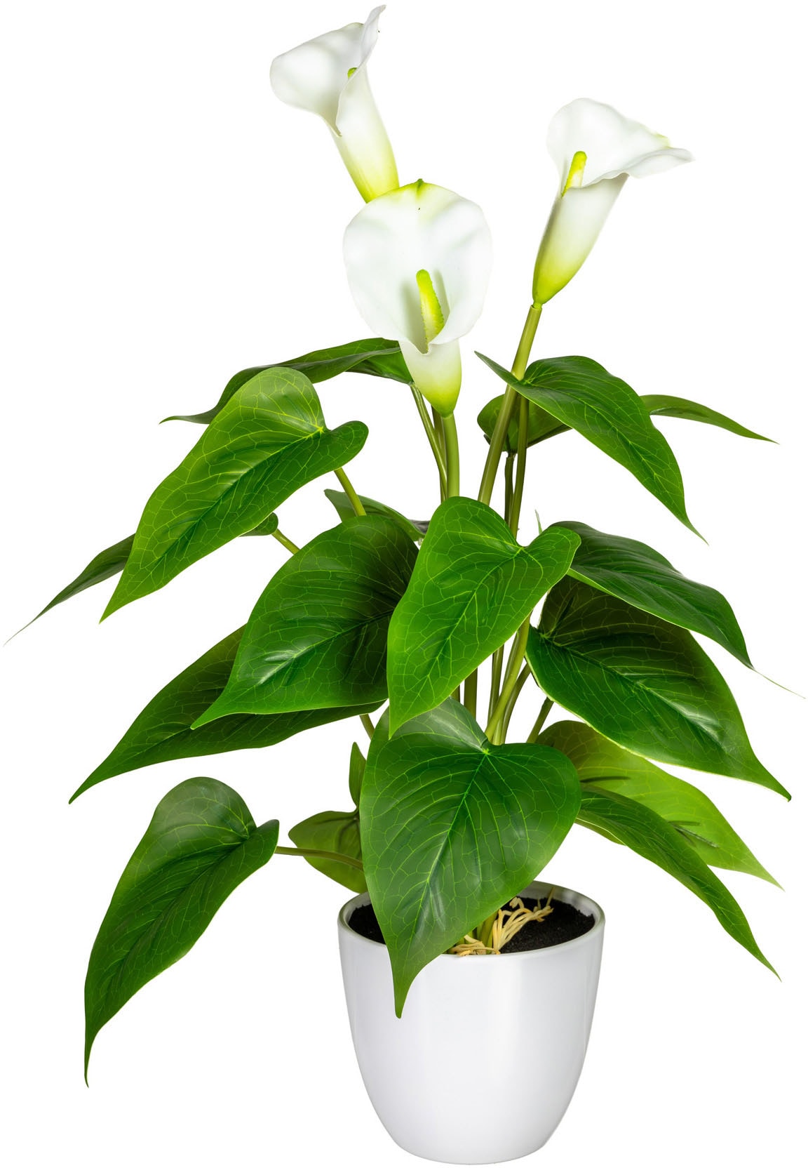 OTTO home Kunstpflanze "Lesum" im Topf günstig online kaufen