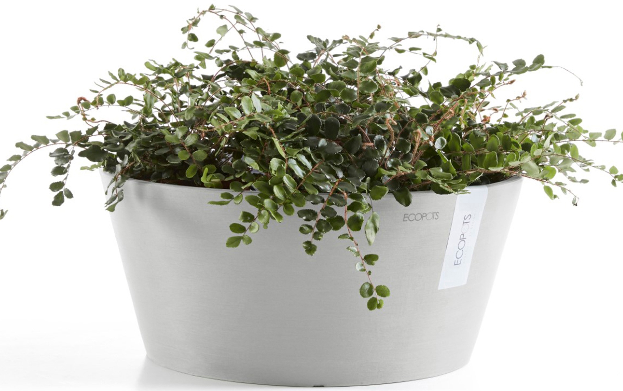 ECOPOTS Blumentopf »Frankfurt 50 Weißgrau«, für innen und außen: frostsicher, bruchsicher und lichtbeständig
