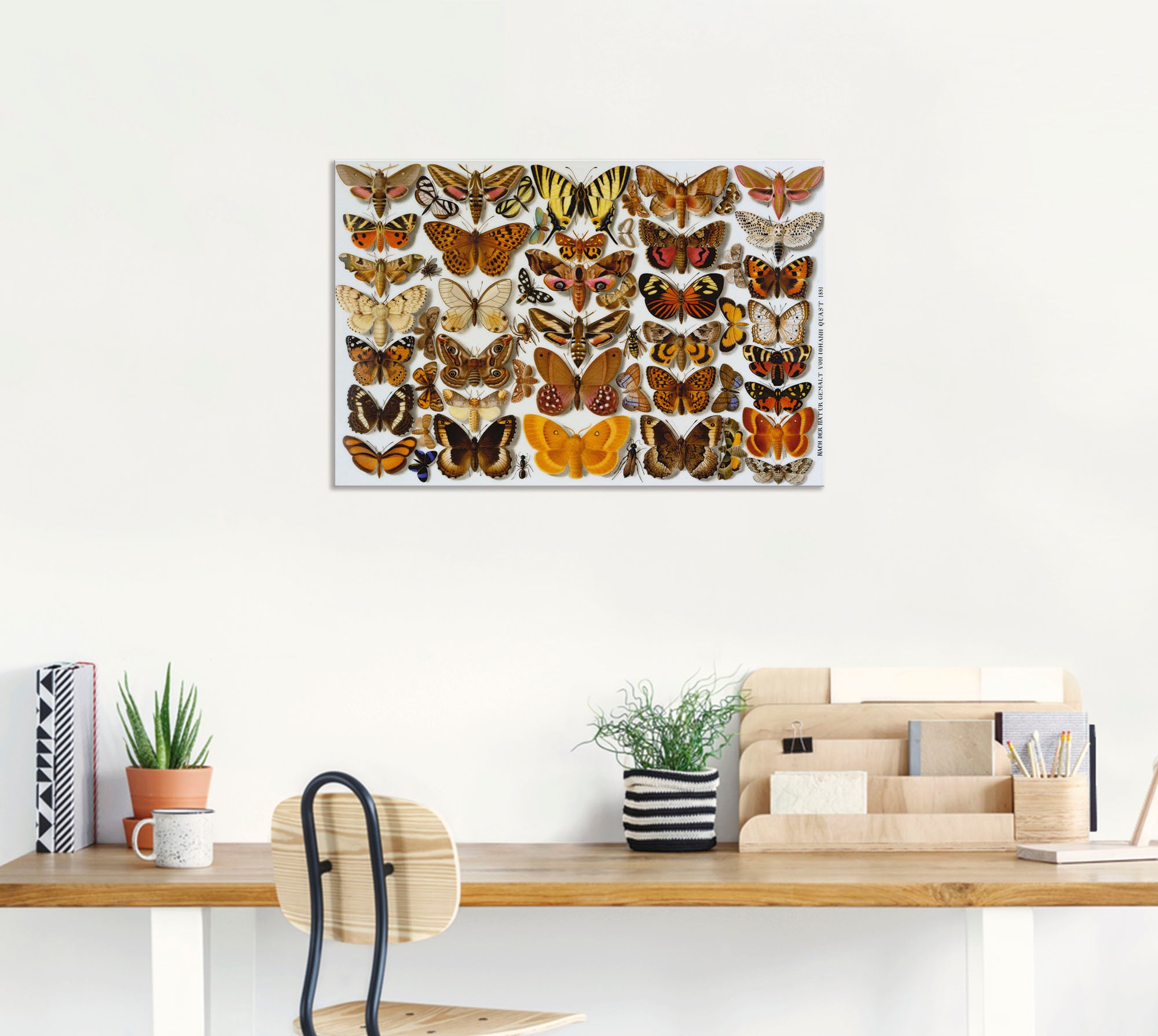Artland Kunstdruck »Schmetterlinge. Porzellanmalerei. 1881«, Insekten, (1 St.), als Alubild, Leinwandbild, Wandaufkleber oder Poster in versch. Größen