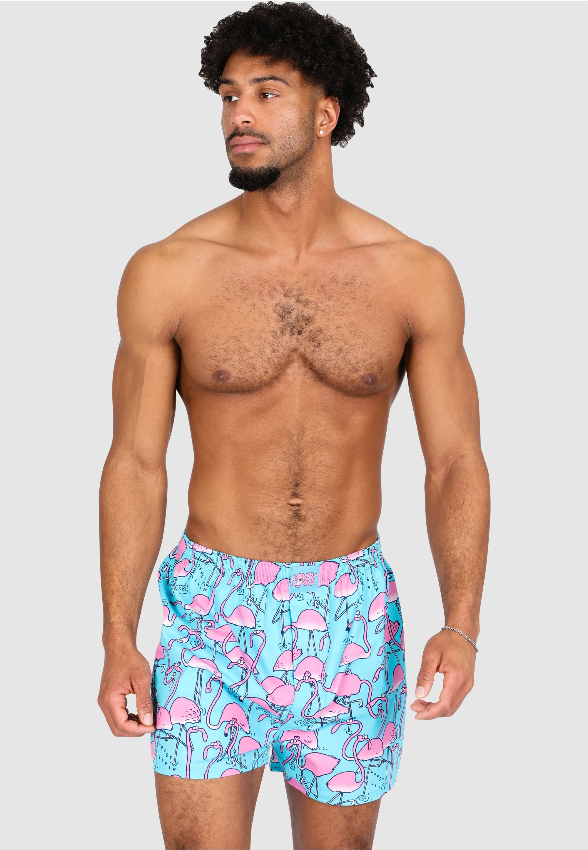 Lousy Livin Boxershorts "Dino & Greater Flamingo" 2 Stk. mit lässigen Allover-Prints