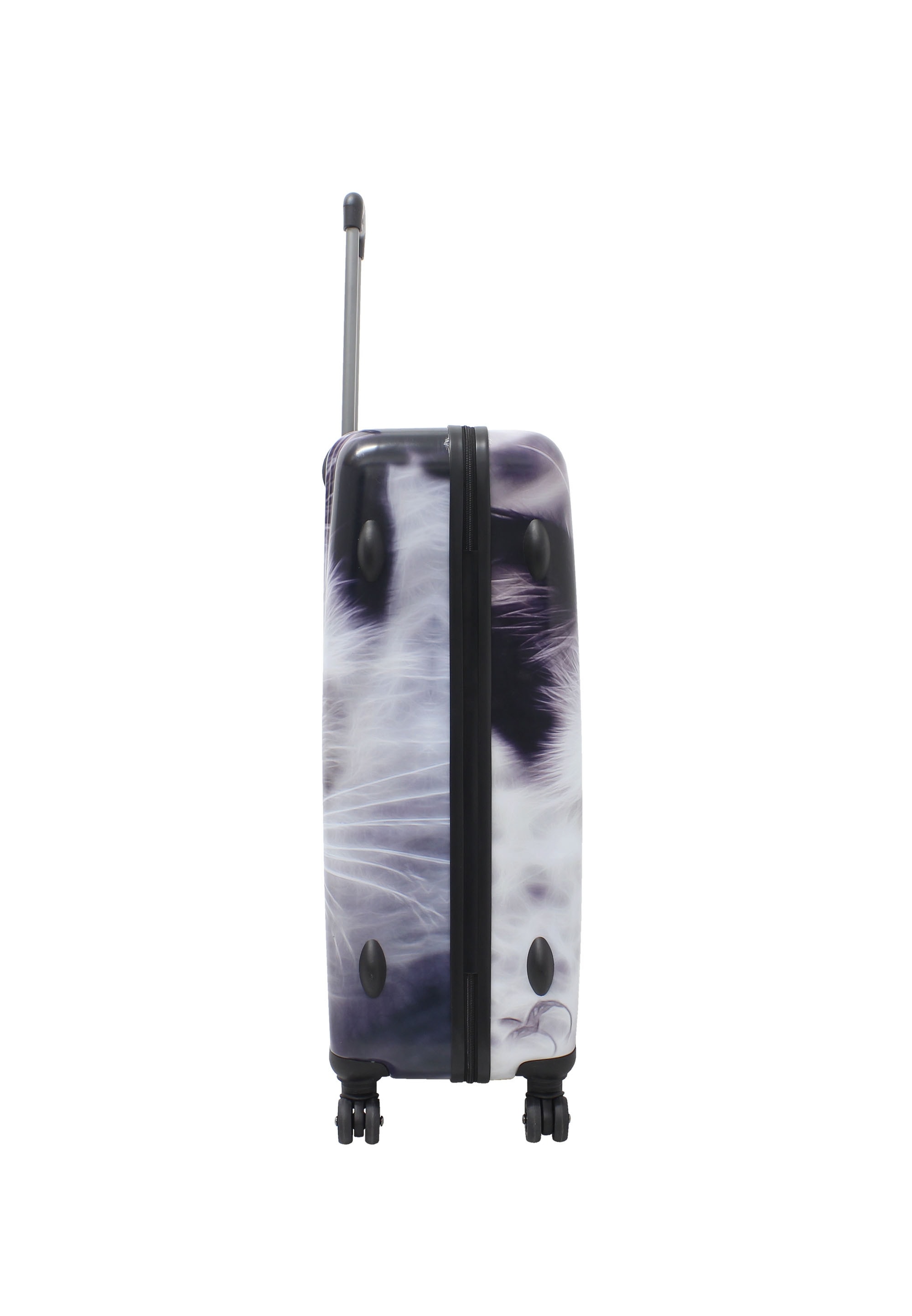 Saxoline® Koffer »White Cat« mit niedlichem Katzenmotiv