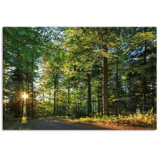 Artland Wandbild »Waldweg im Romantischen Schwarzwald«, Waldbilder, (1 St.),  als Alubild, Leinwandbild, Wandaufkleber oder Poster in versch. Größen  bestellen | BAUR