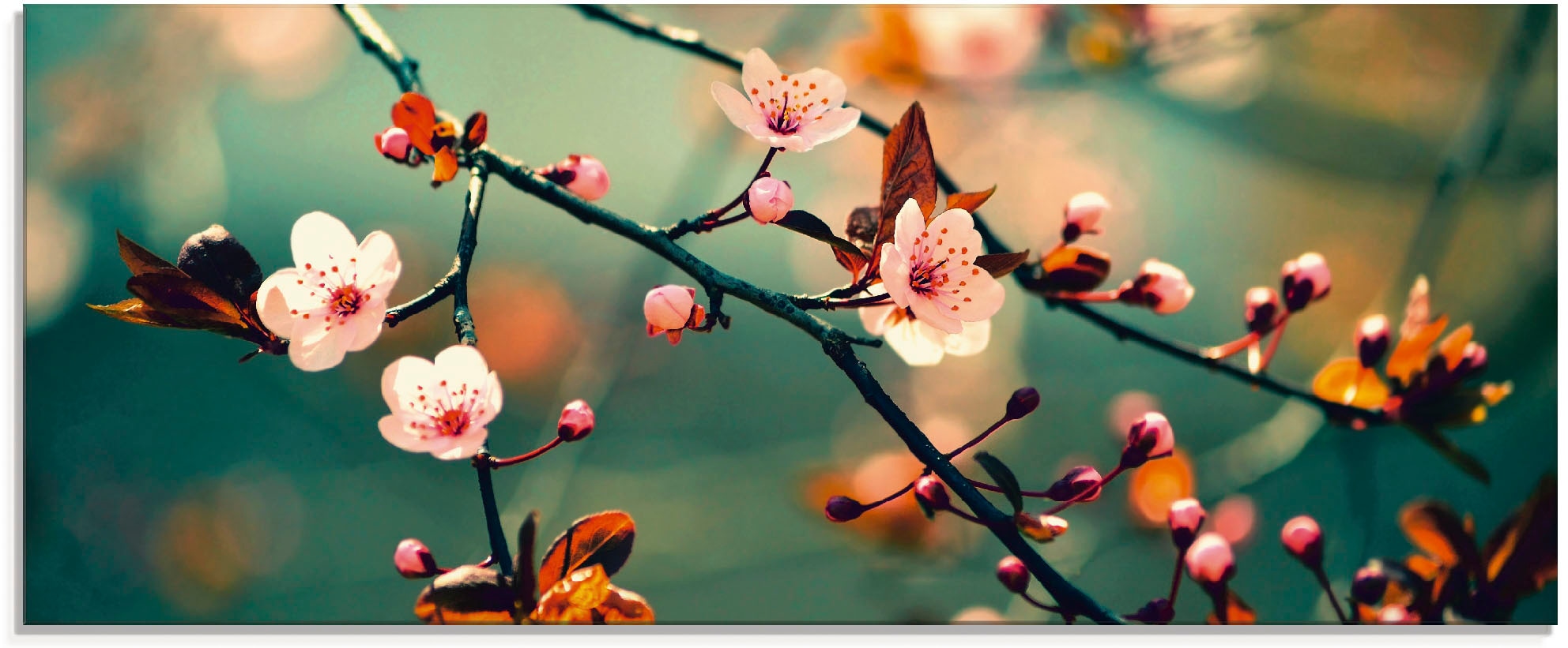 Artland Stiklinis paveikslas »Japanische Kirsc...