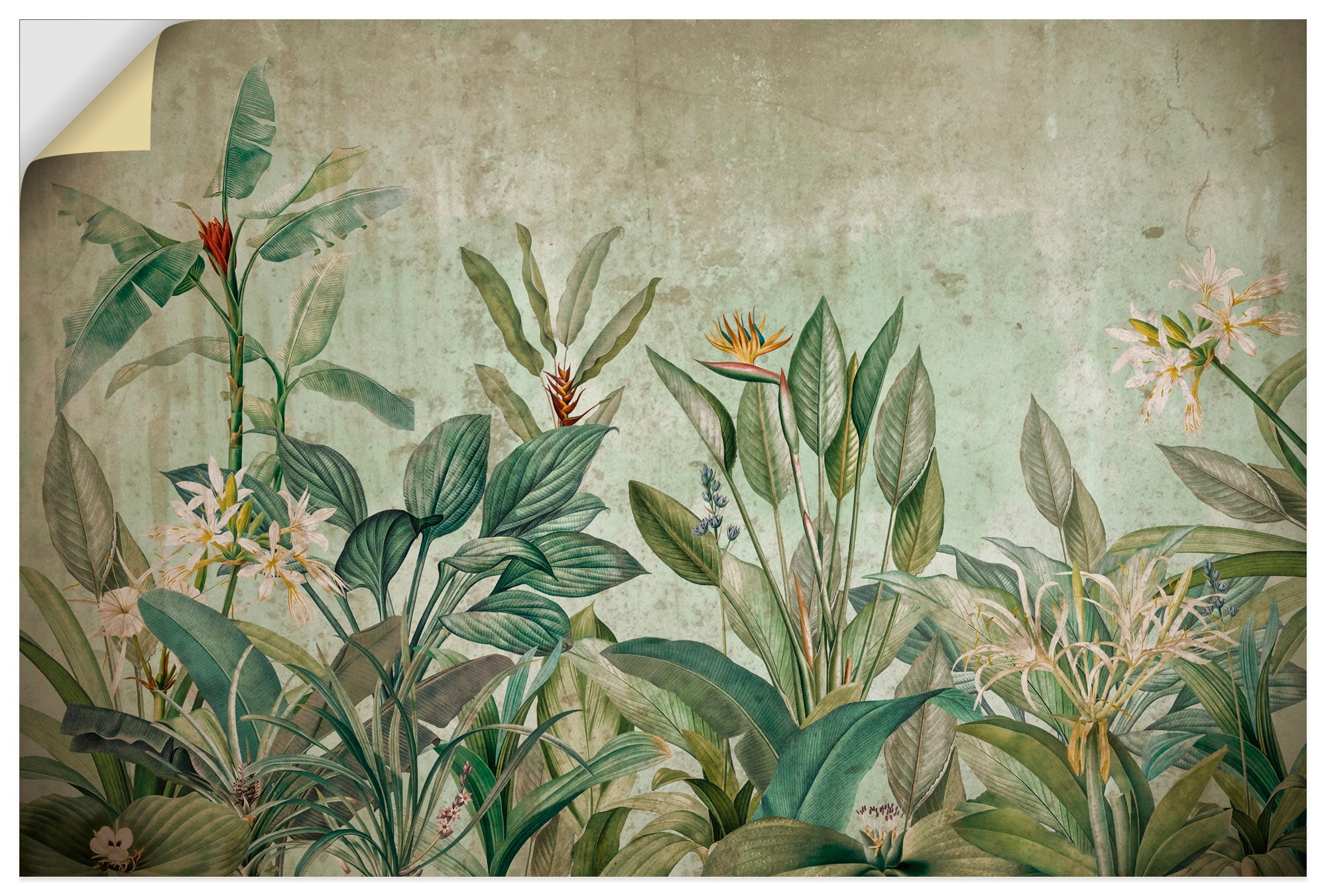 Artland Wandbild "Exotische Dschungel Landschaft" Blumenwiese 1 Stk. tlg. als Alubild, Leinwandbild, Poster, Wandaufkleber in verschied. Größen