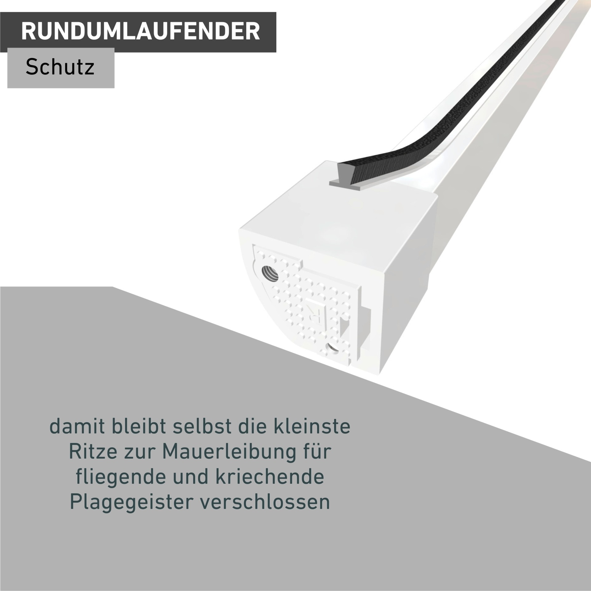 Windhager Fliegengitter-Gewebe »für Insektenschutz Rollofenster und Rahmensysteme, Dichtungsbürste 2 m« Packung, 1 Stk. tlg. Fliegengitter Zubehör, selbstklebender Schutz vor Insekten