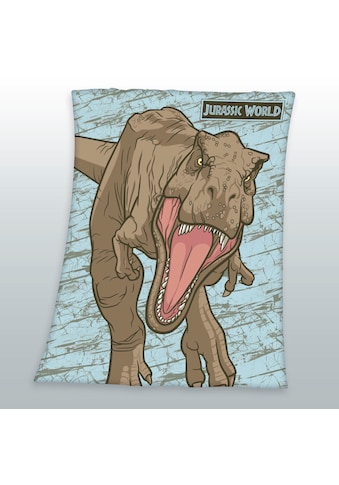 Jurassic World Kinderdecke »« su puikus M