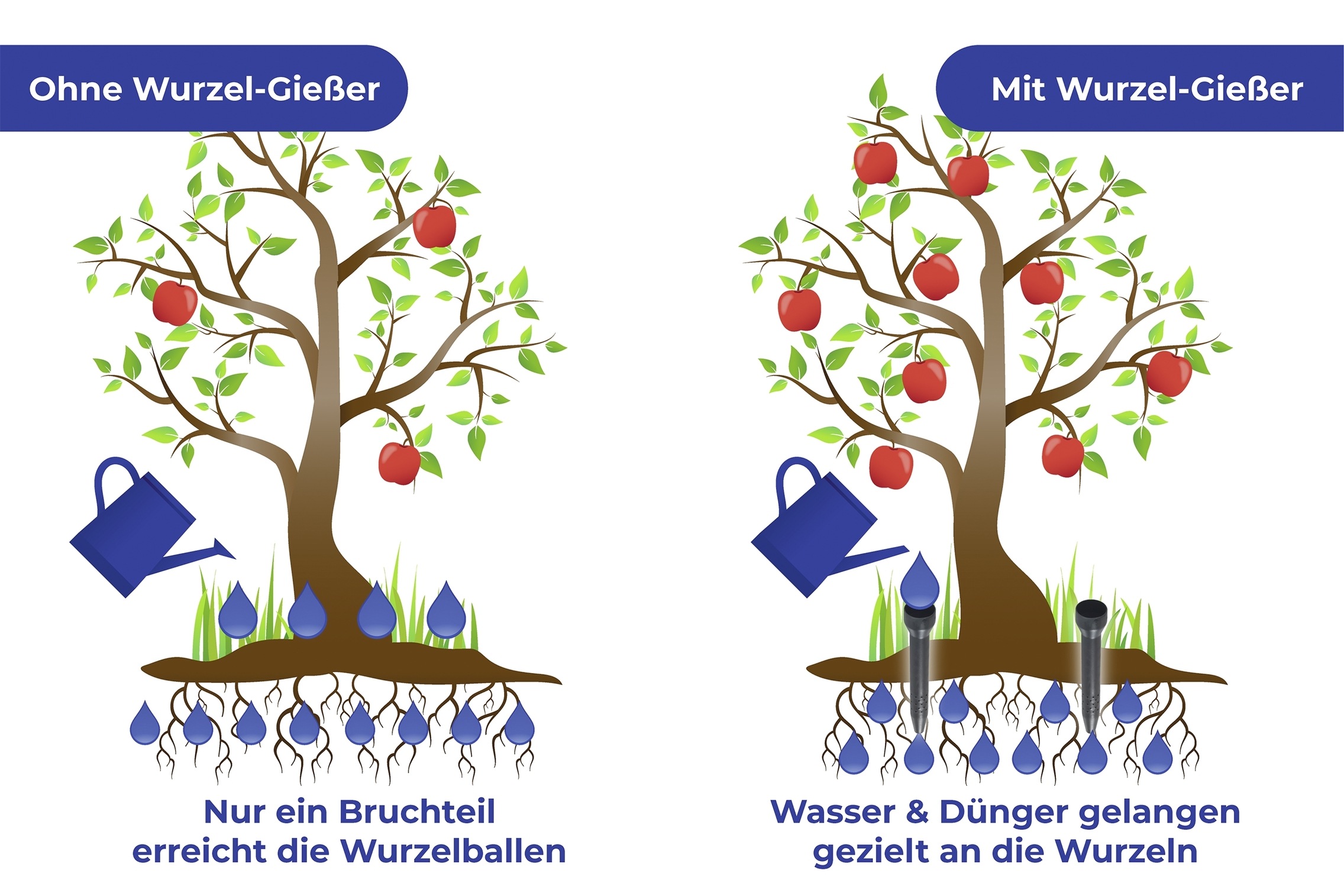 Maximex Bewässerungssystem (Set, 6 Stk. tlg.)  Wurzel-Gießer, ØxH: 5,5x30 cm