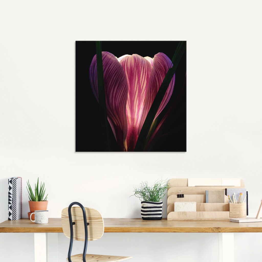 Artland Glasbild »Beleuchtet«, Blumen, (1 St.)