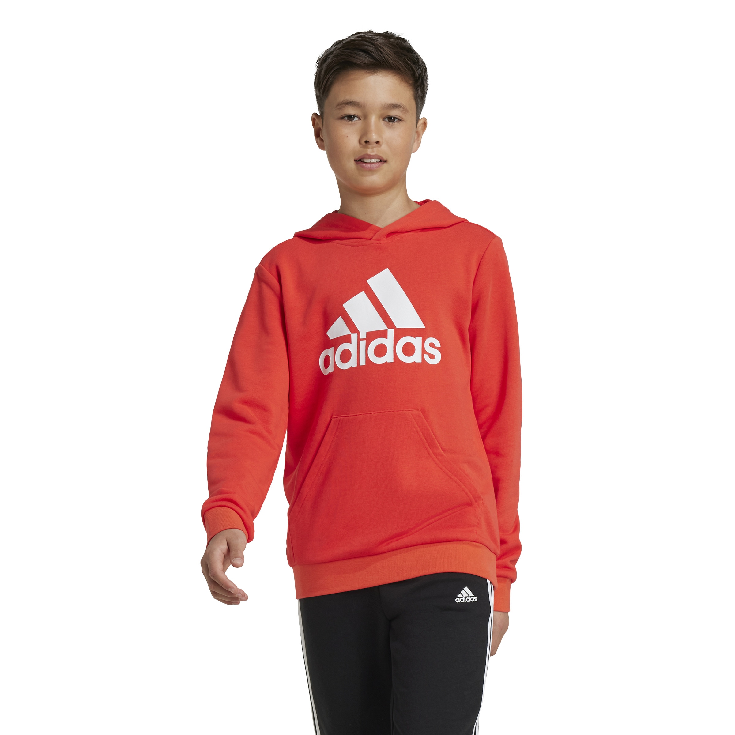 adidas Sportswear Kapuzensweatshirt »BIG LOGO ESSENTIALS COTTON HOODIE«