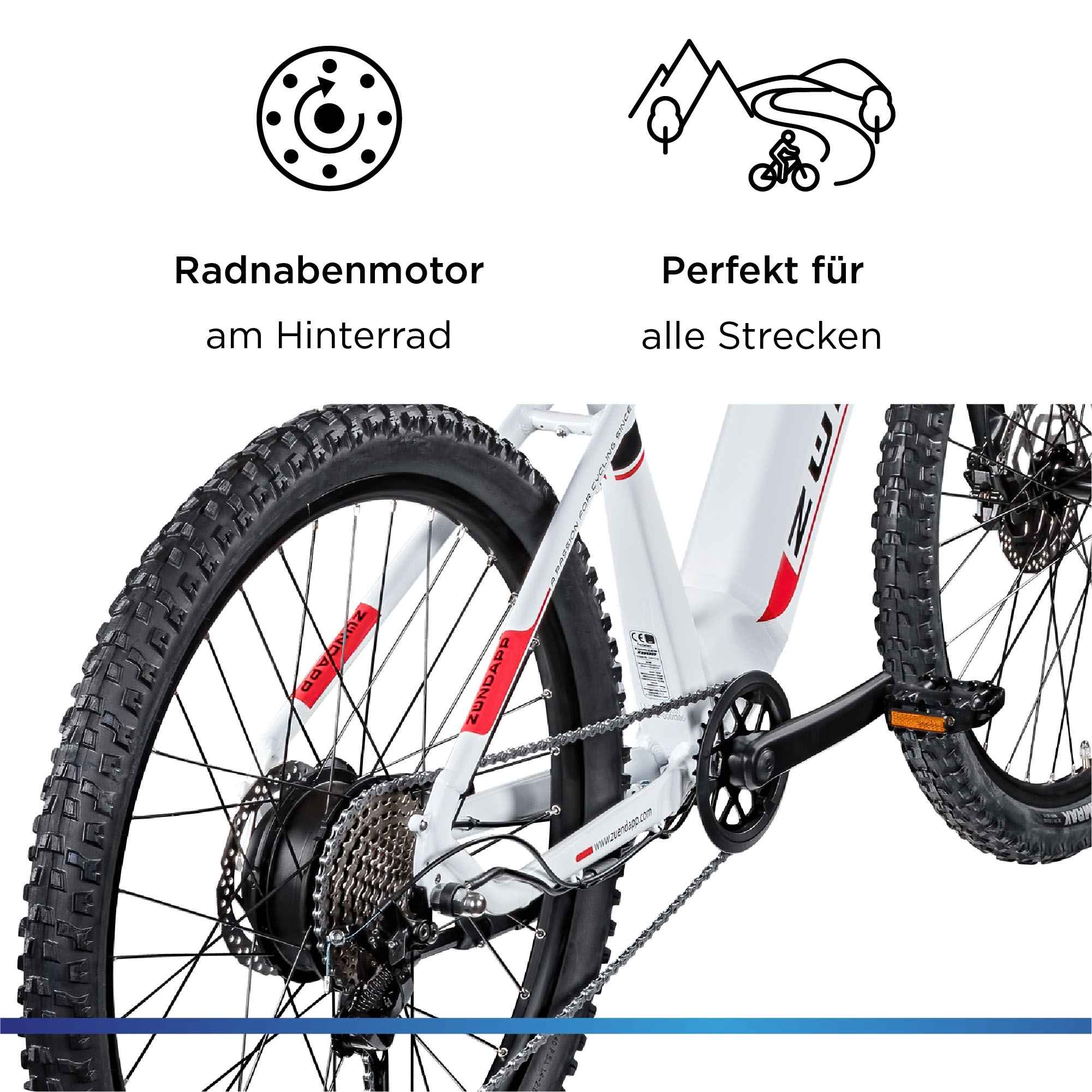 Zündapp E-Bike »Z898«, 10 Gang, Heckmotor 250 W, Pedelec, Elektrofahrrad für Damen u. Herren, MTB