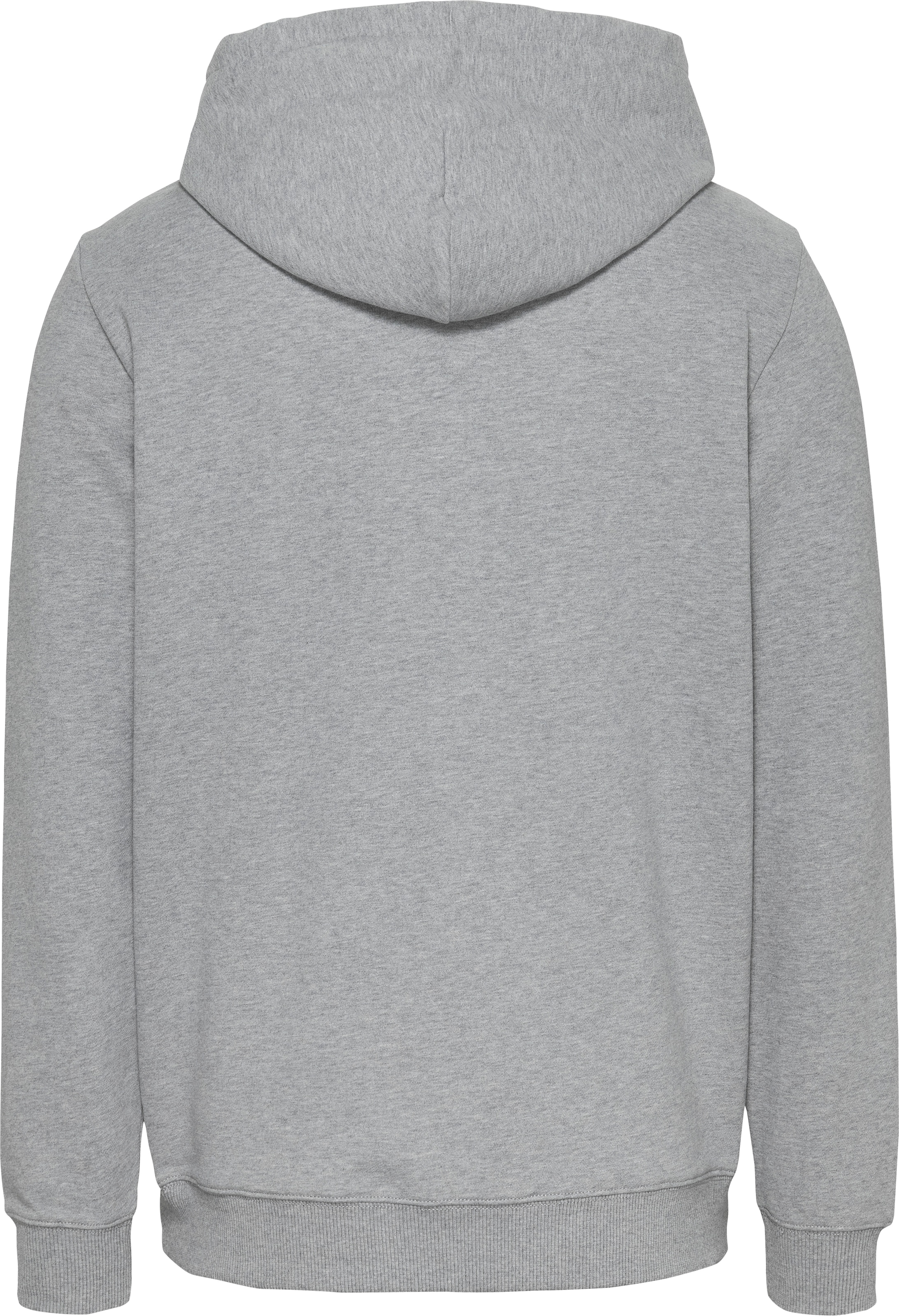 Tommy Jeans Hoodie »TJM REG ENTRY GRAPHIC HOODIE EXT«, mit Logo