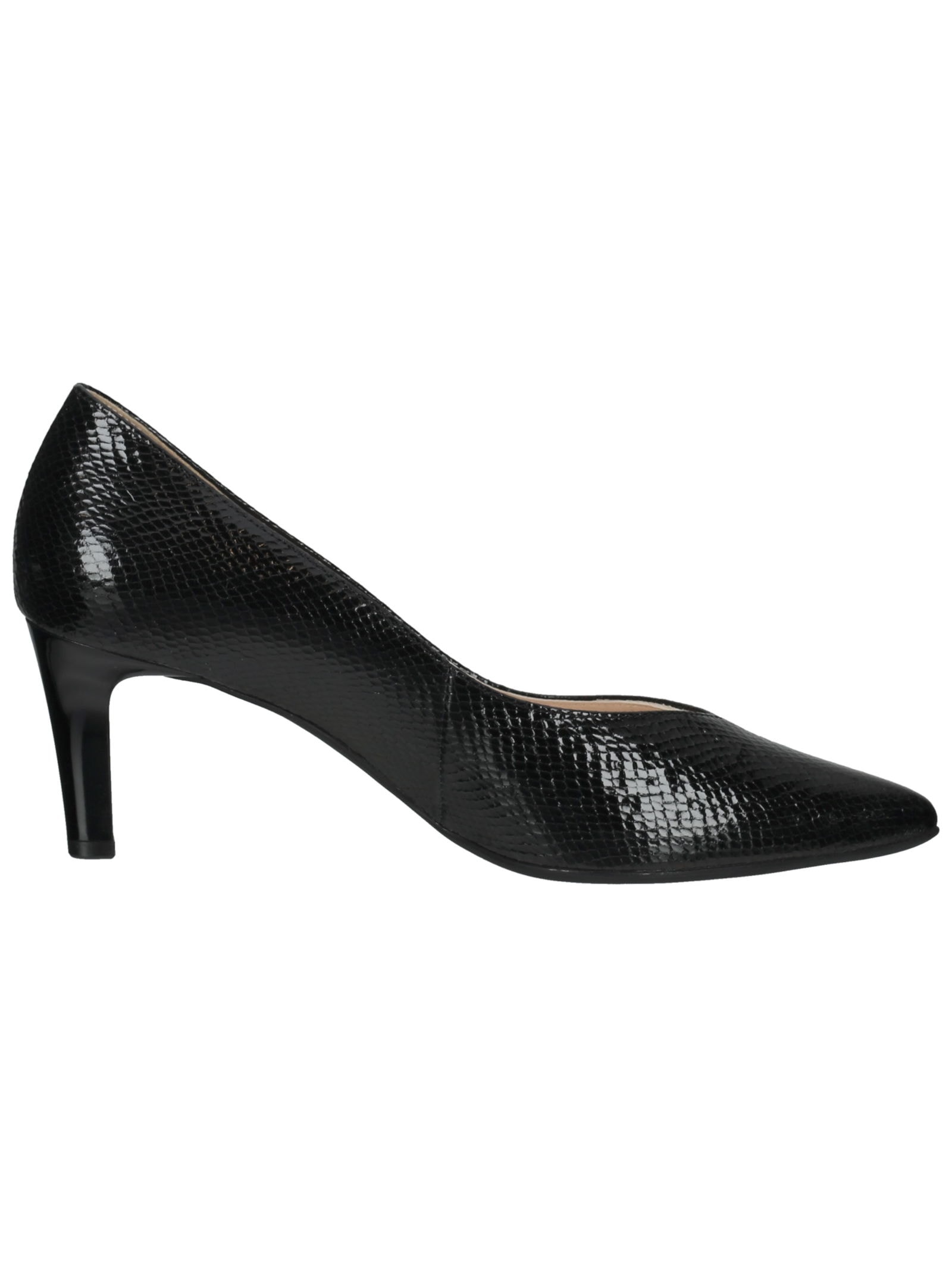 Högl Pumps »Högl Pumps Leder«