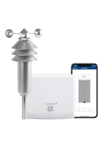 Homematic ip Wetterstation »Access Point + Wetterse...