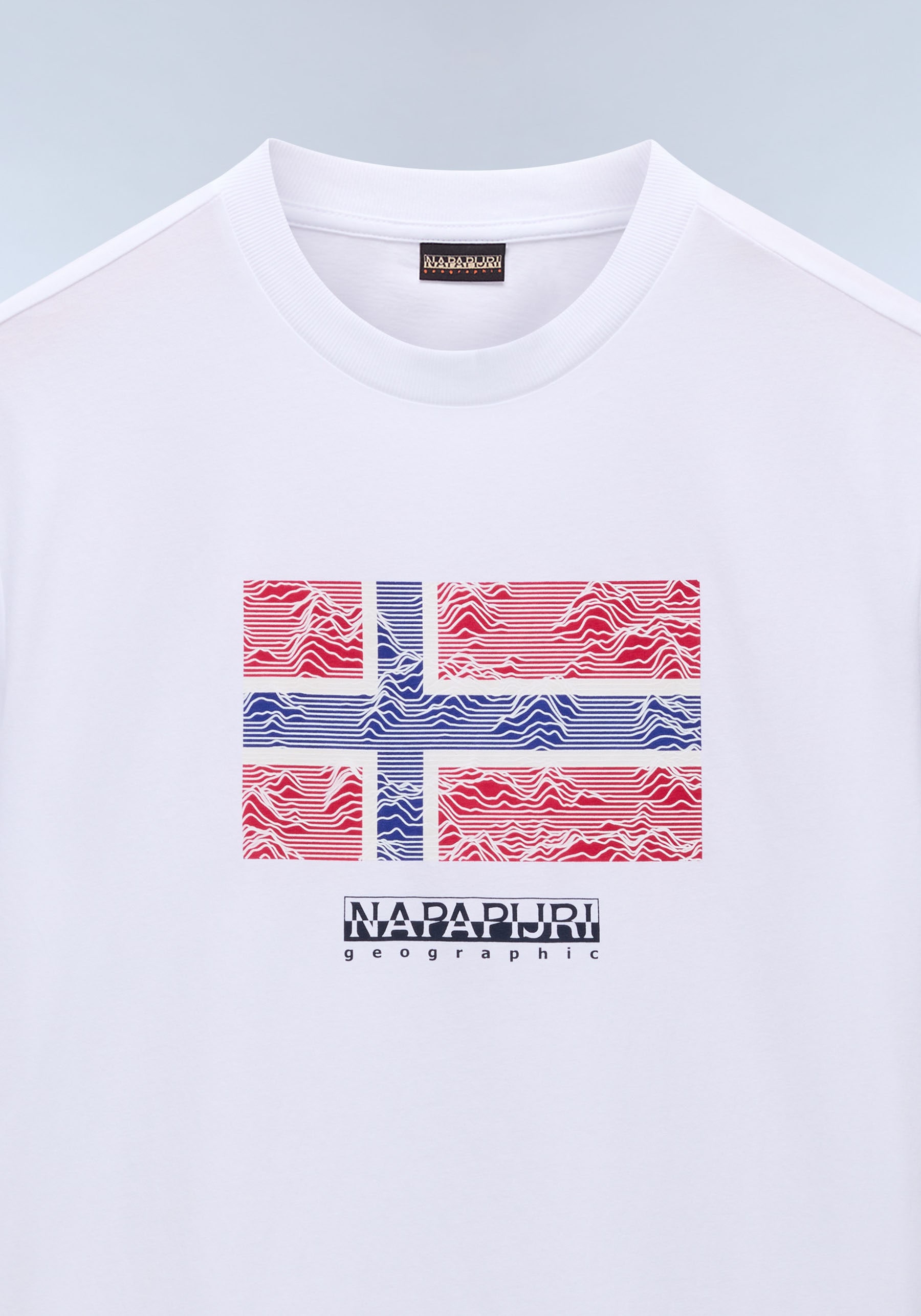 Napapijri T-Shirt »DRAPEAU«, mit Print, Rundhals, Jersey