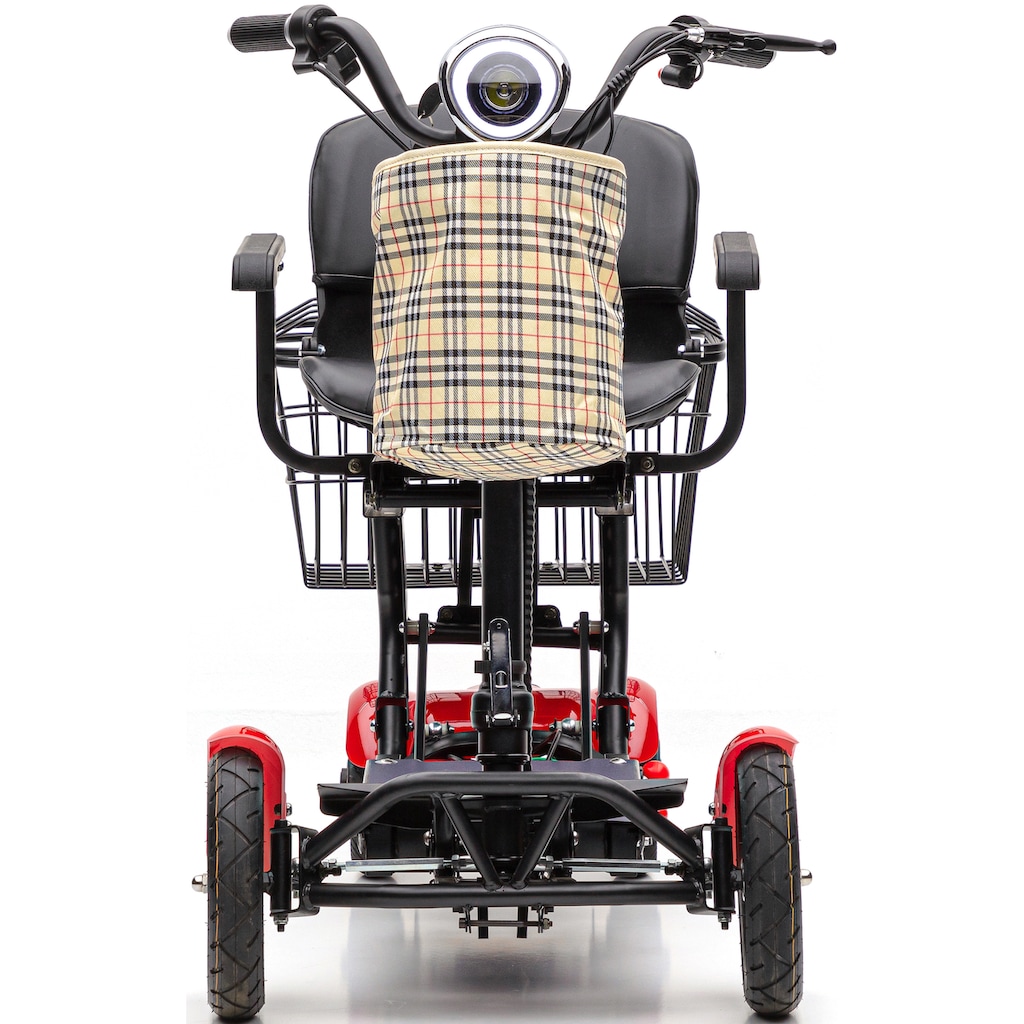 ECONELO E-Motorroller »Seniorenmobil FOLDY«