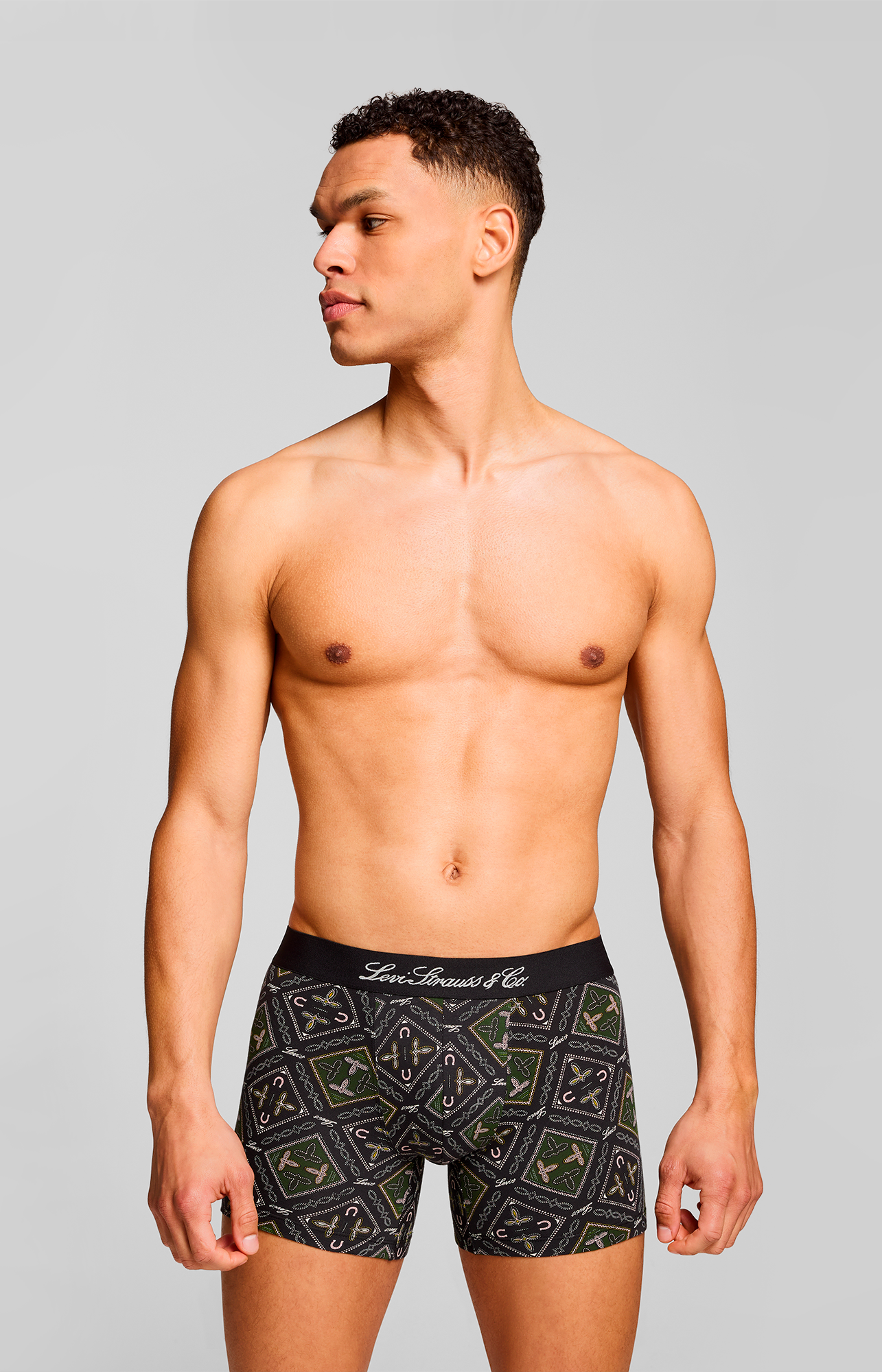 Levis Boxershorts "LEVIS MEN WESTERN AOP BOXER BRIEF 2P", (2er Pack) günstig online kaufen