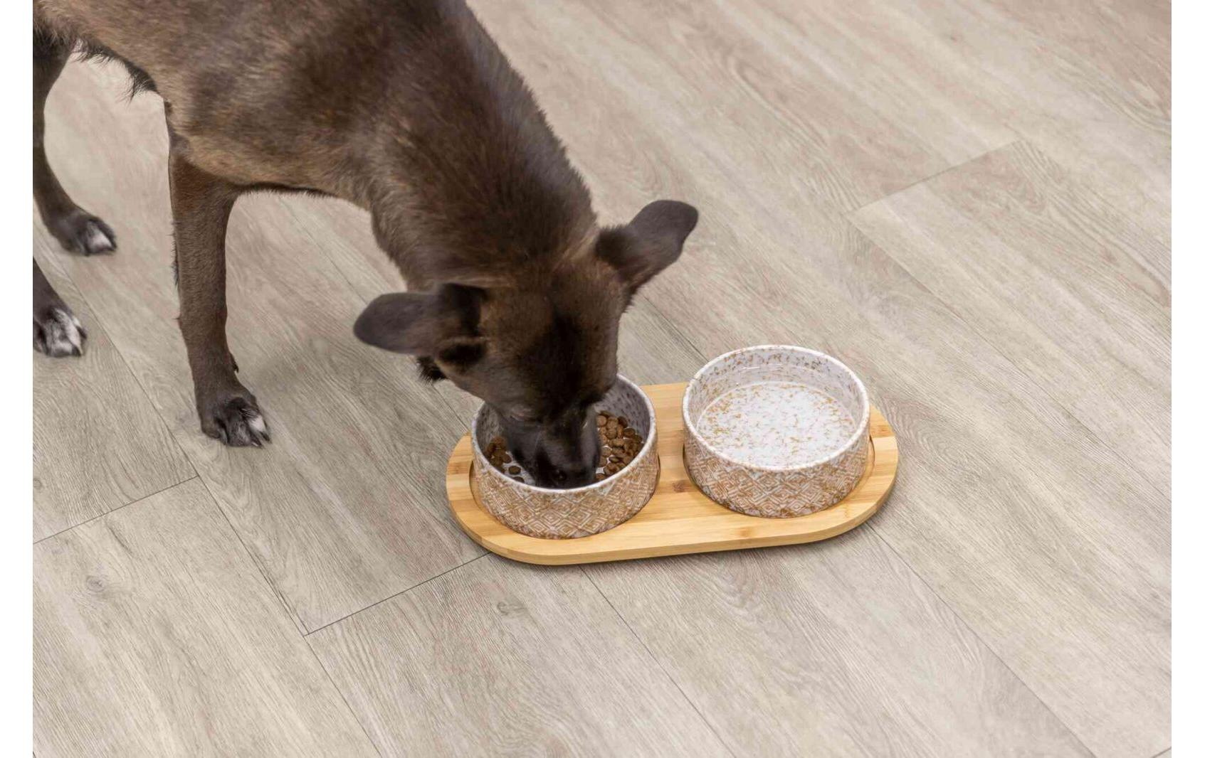 TRIXIE Futternapf »Napf-Set 2 x 0.8 l, 39 x8 x 20 cm« Für Nass- und Trockenfutter geeignet, Rutschfest
