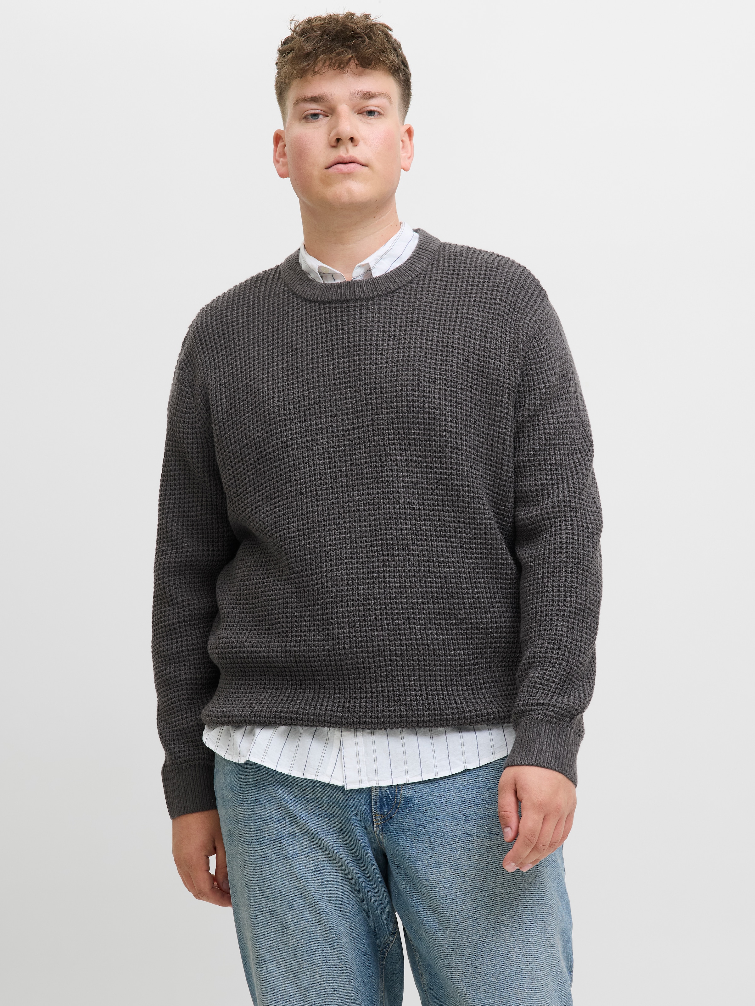 Jack & Jones PlusSize Strickpullover "JJGLOBAL KNIT CREW NECK PLS" günstig online kaufen