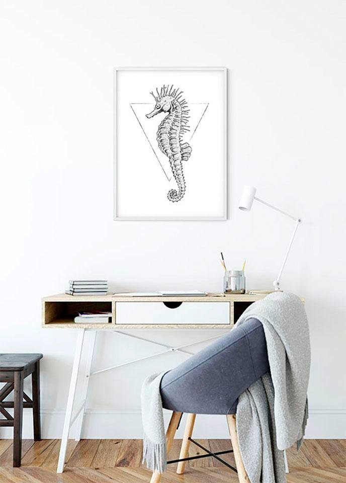 Komar Bild »Sea Horse White«, Tiere, (1 St.), Wandbild zur Dekoration - ohne Rahmen