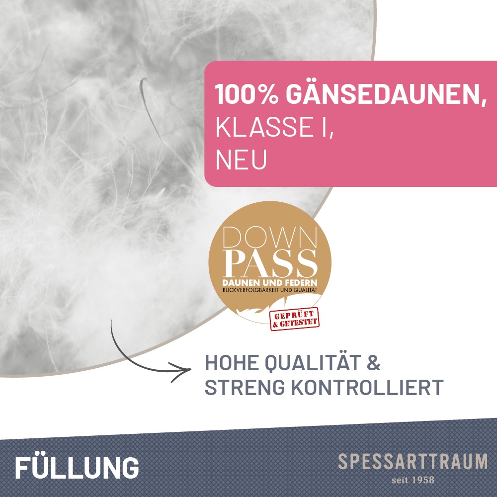 Thumbnail - SPESSARTTRAUM Gänsedaunenbettdecke "Premium****, hergestellt in Deutschland, Bettdecken für Sommer, Winter" warm Füllung...