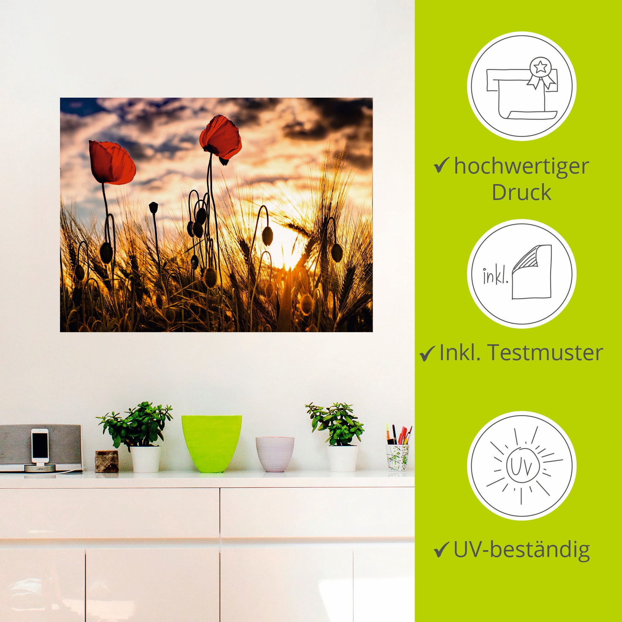 Artland Wandbild »Mohnblumen im Sonnenuntergang«, Blumen, (1 St.), als Alubild, Outdoorbild, Leinwandbild, Poster, Wandaufkleber