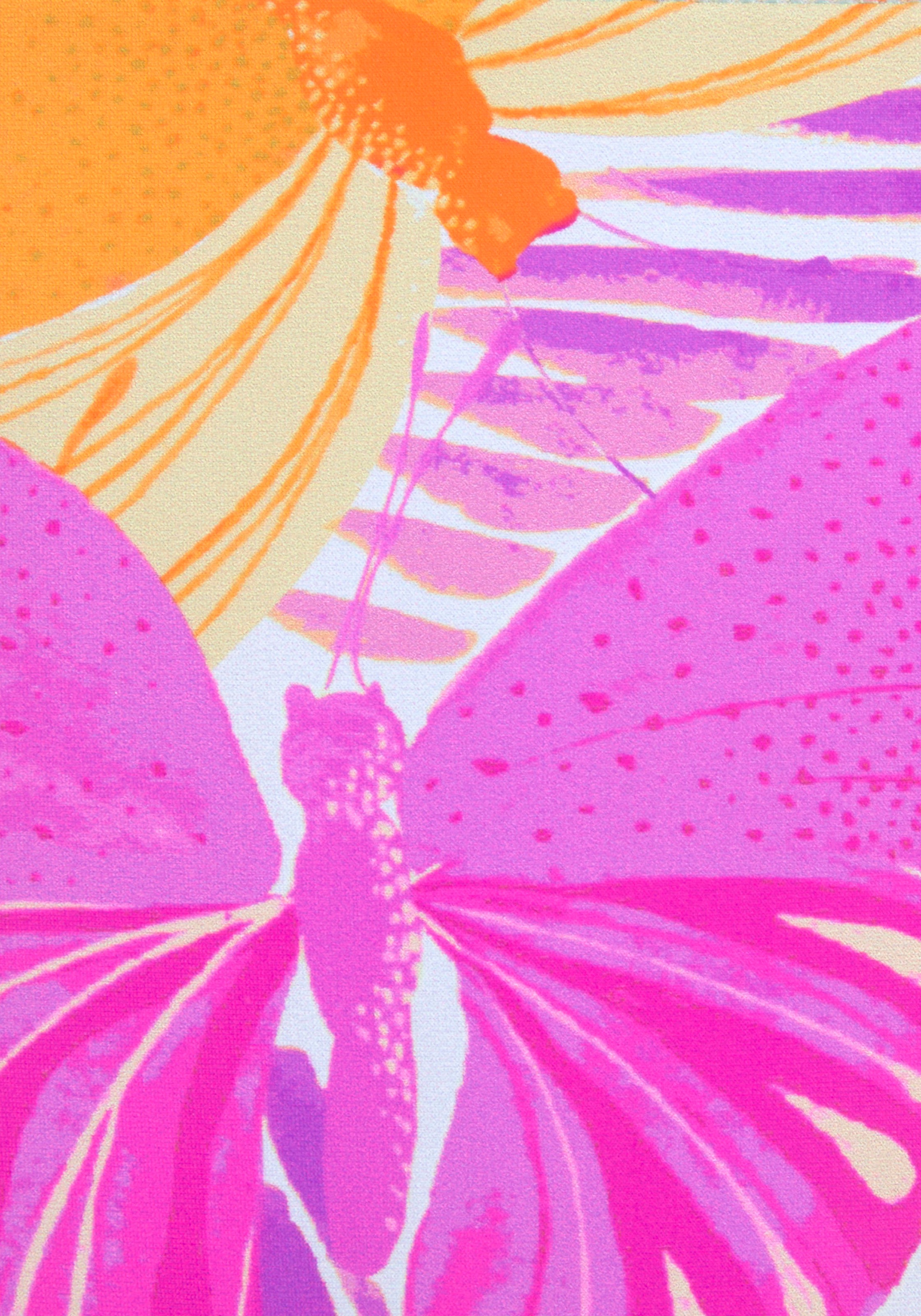 Bikini-Hose SUNSEEKER "Butterfly", Damen, Gr. 34, N-Gr, lila (lila, orange), Microfaser, Polyamid, bedruckt, Badehosen Bikini-Hose, mit Schmetterling-Design 3