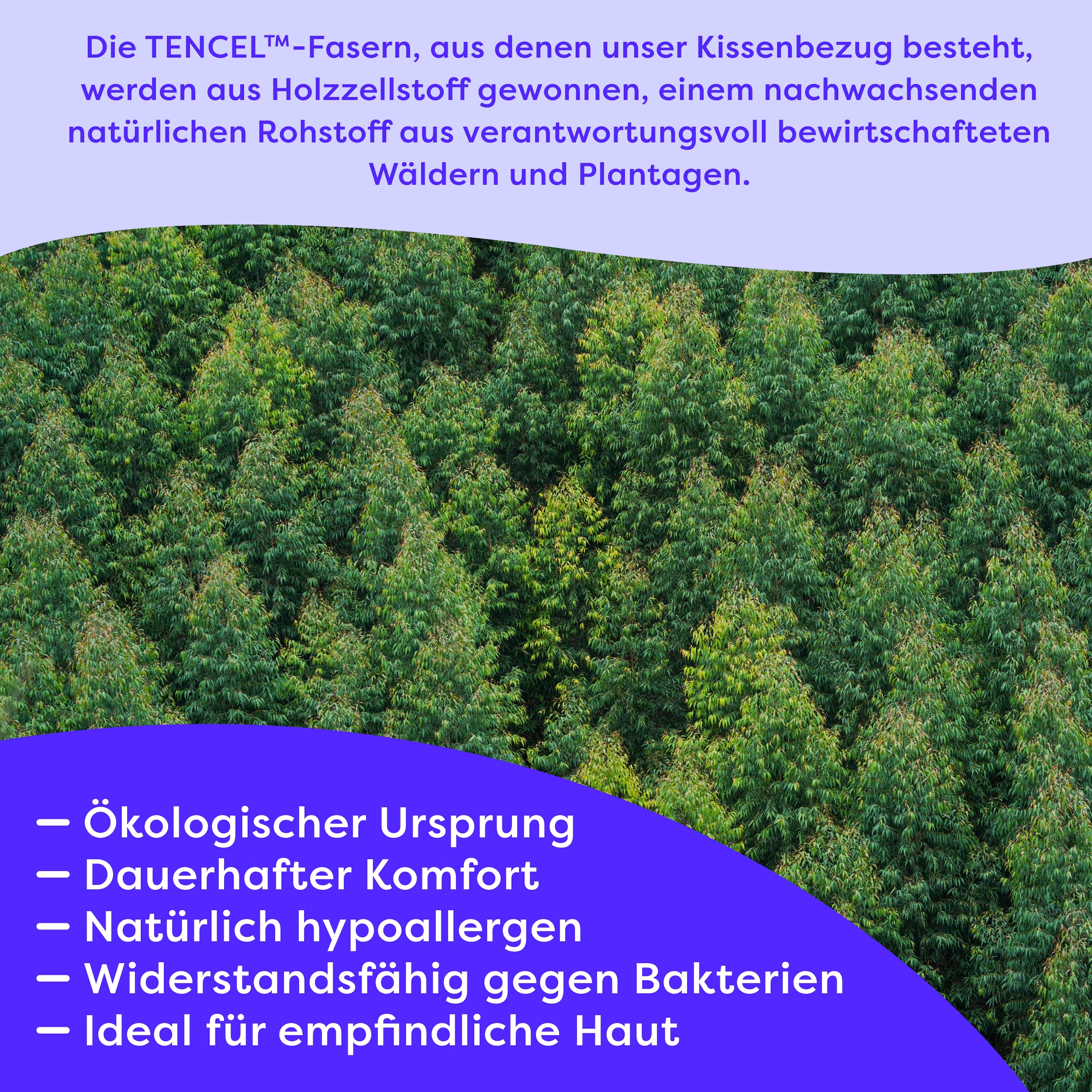 Wolkenfeld Babykissen »Eron Kinderkissen« Weiches und Atmungsaktives Kinderkopfkissen - Natürliches Memory Foam