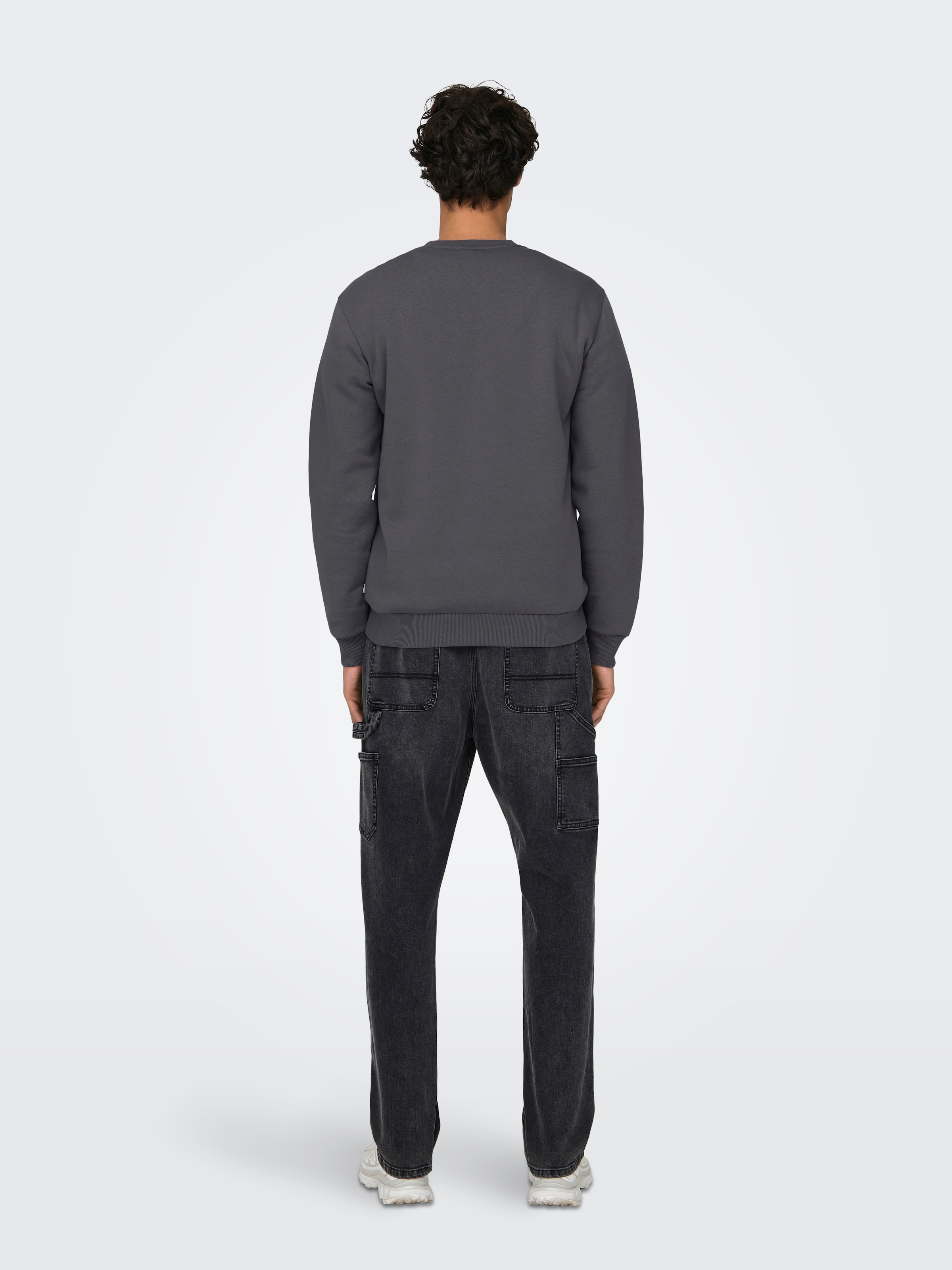ONLY & SONS Sweatshirt »ONSCERES CREW NECK NOOS«