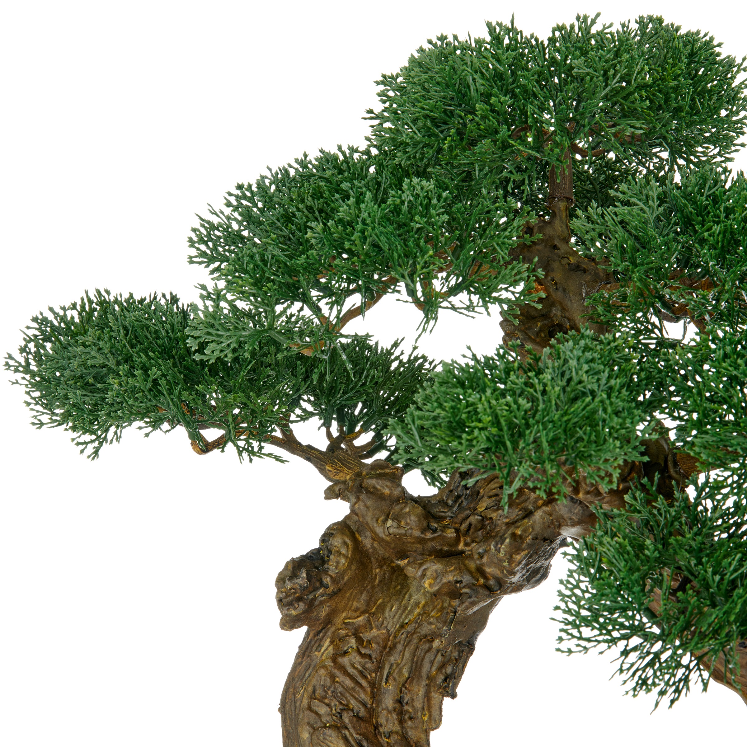 Creativ green Kunstbonsai "Bonsai Zeder", im besonderen Pflanzgefäß günstig online kaufen