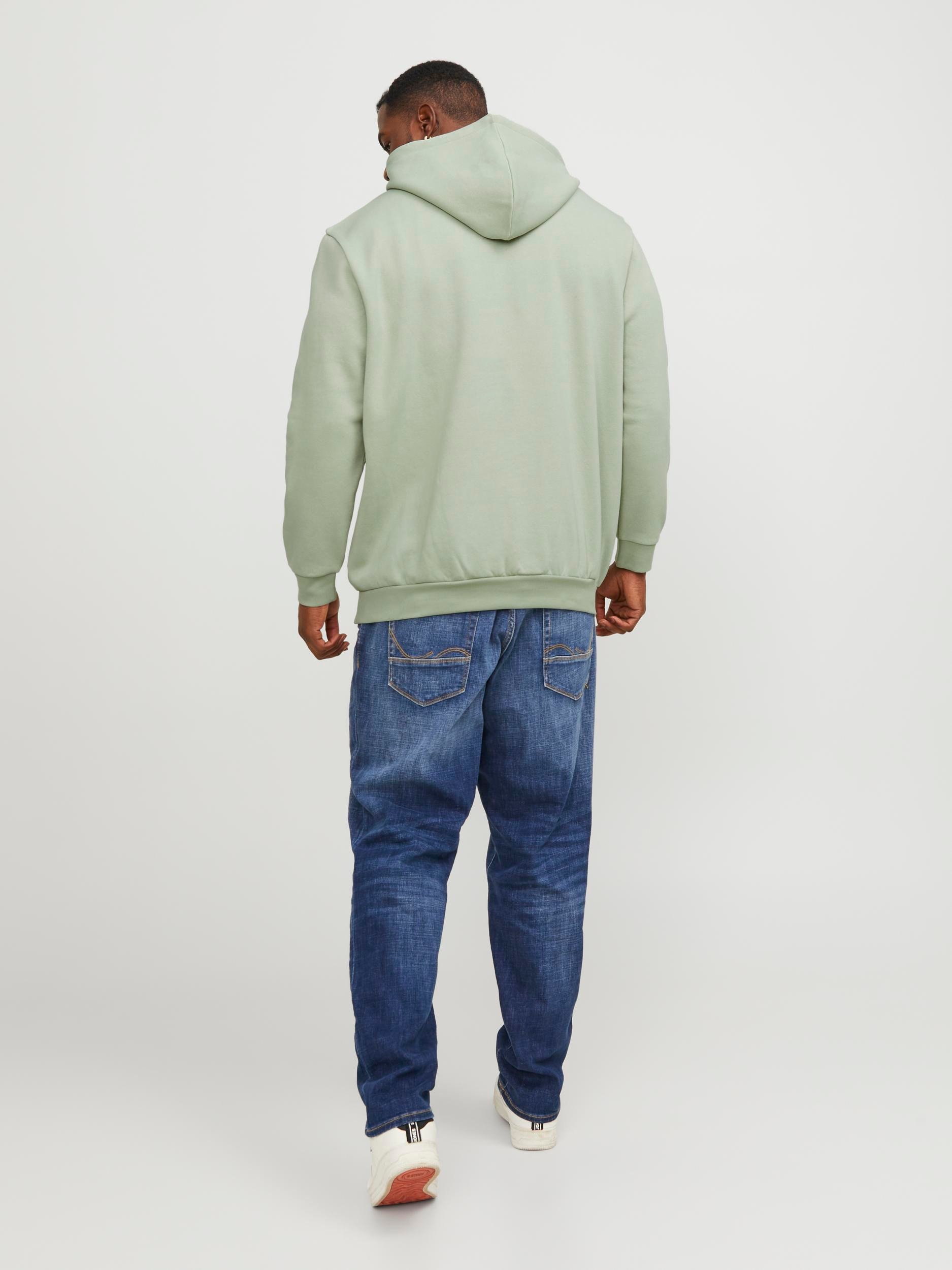 Jack & Jones PlusSize Kapuzensweatshirt »JJEBRADLEY SWEAT HOOD NOOS PLS«