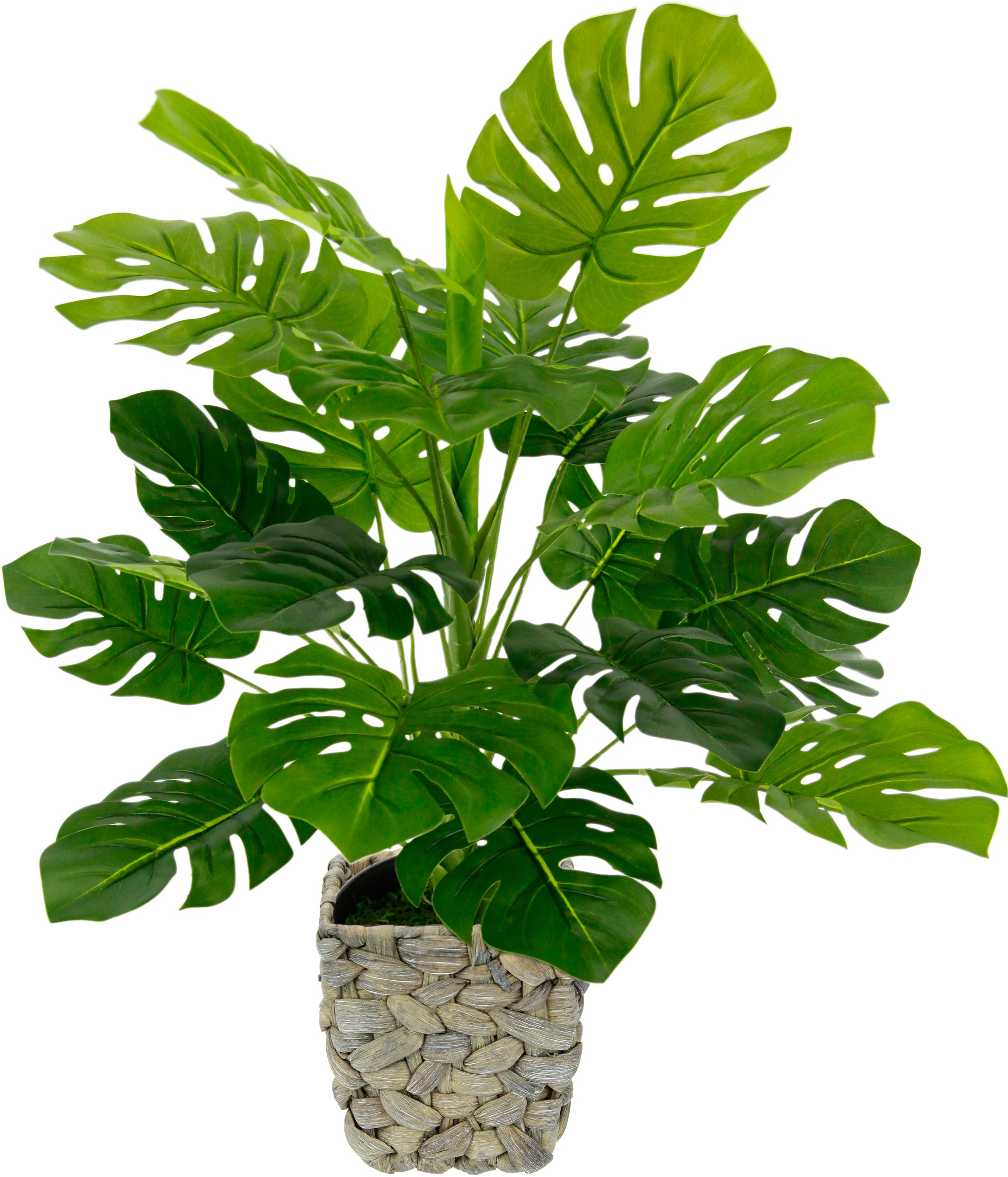 I.GE.A. Kunstpflanze »Monstera« su Übertopf kü...