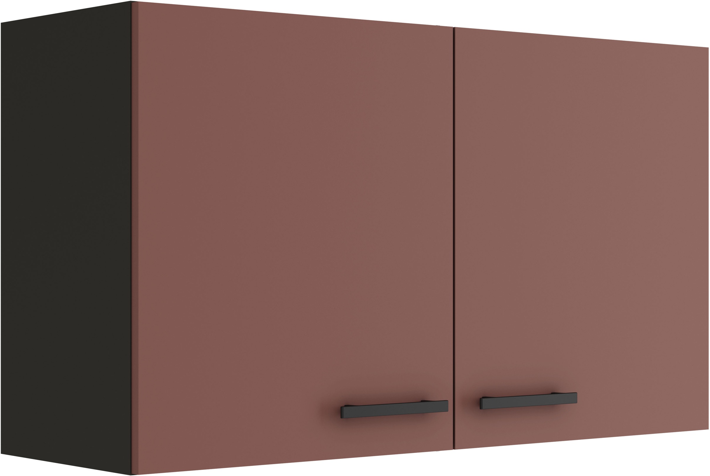 OPTIFIT Hängeschrank "Palma", Breite 100 cm, 2 Türen, 1 Einlegeboden