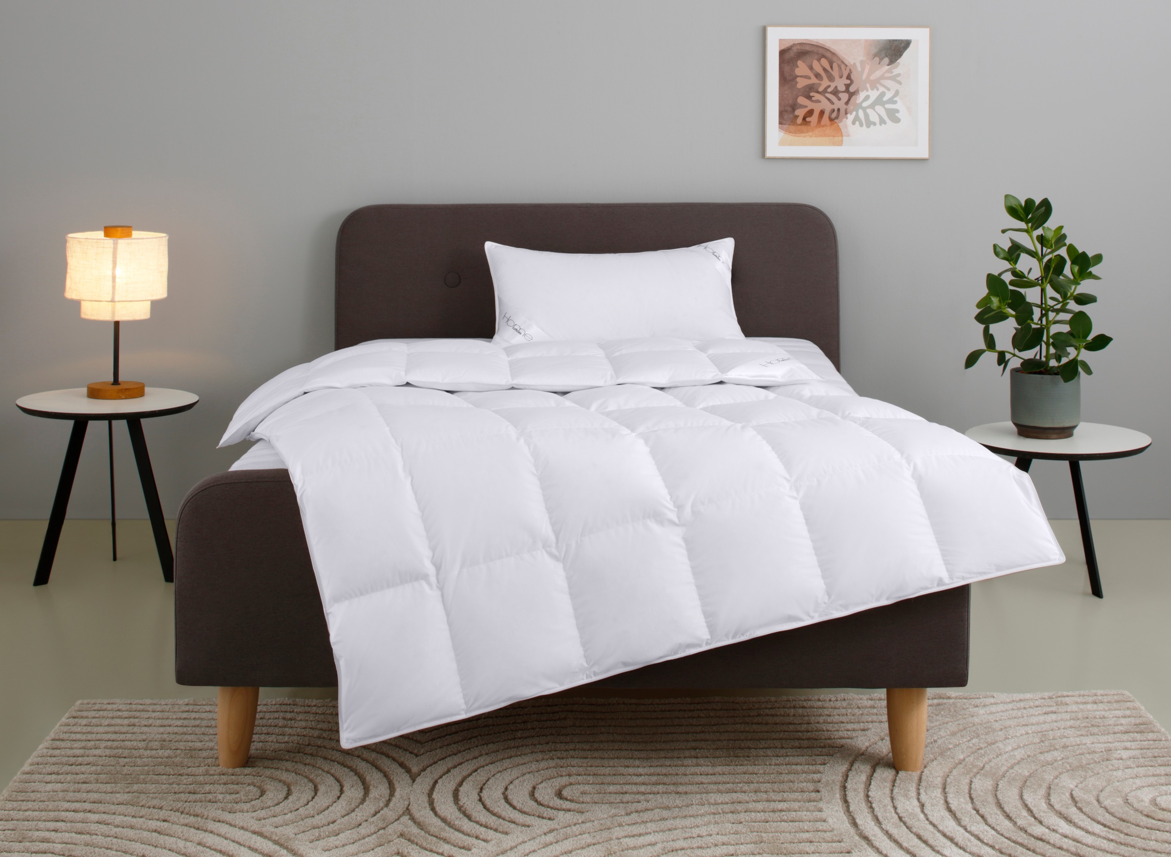 OTTO home Gänsedaunenbettdecke + Kopfkissen "Litrone Bettdecke 135x200 cm, 155 x220 cm" Set mit Kissen 40x80 cm, 80x80 cm, Frühling, Sommer, Herbst, Winter