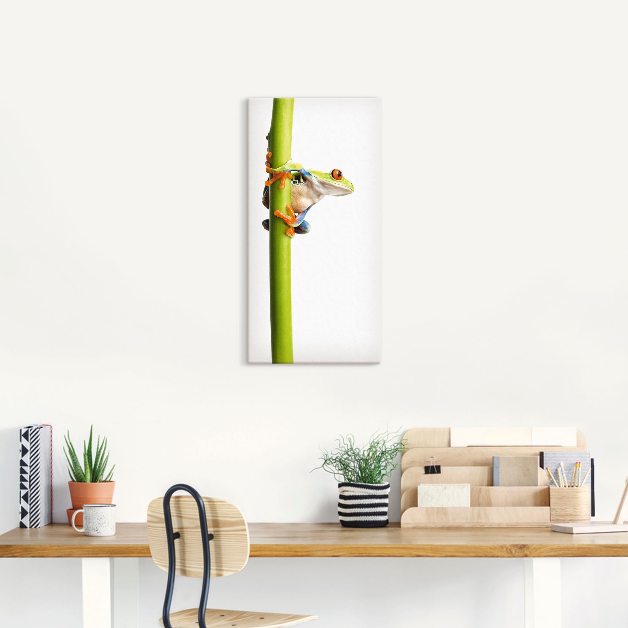 Artland Wandbild »Frosch umfasst einen Pflanzenstengel«, Wassertiere, (1 St.), als Alubild, Outdoorbild, Leinwandbild in verschied. Größen