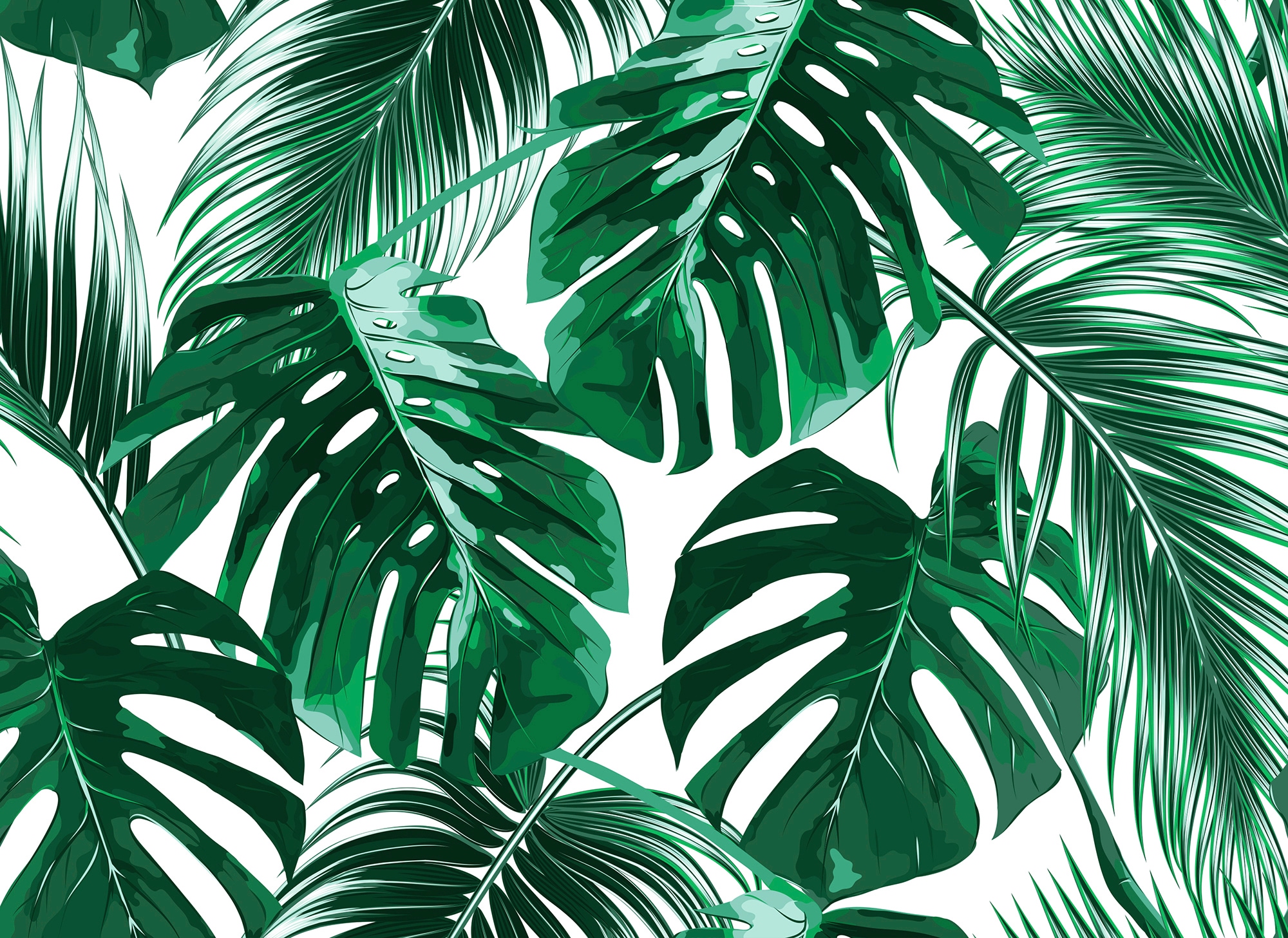 living walls Fototapete "Designwalls Palm Leaves 1" glatt Vlies, Wand, Schräge, Decke