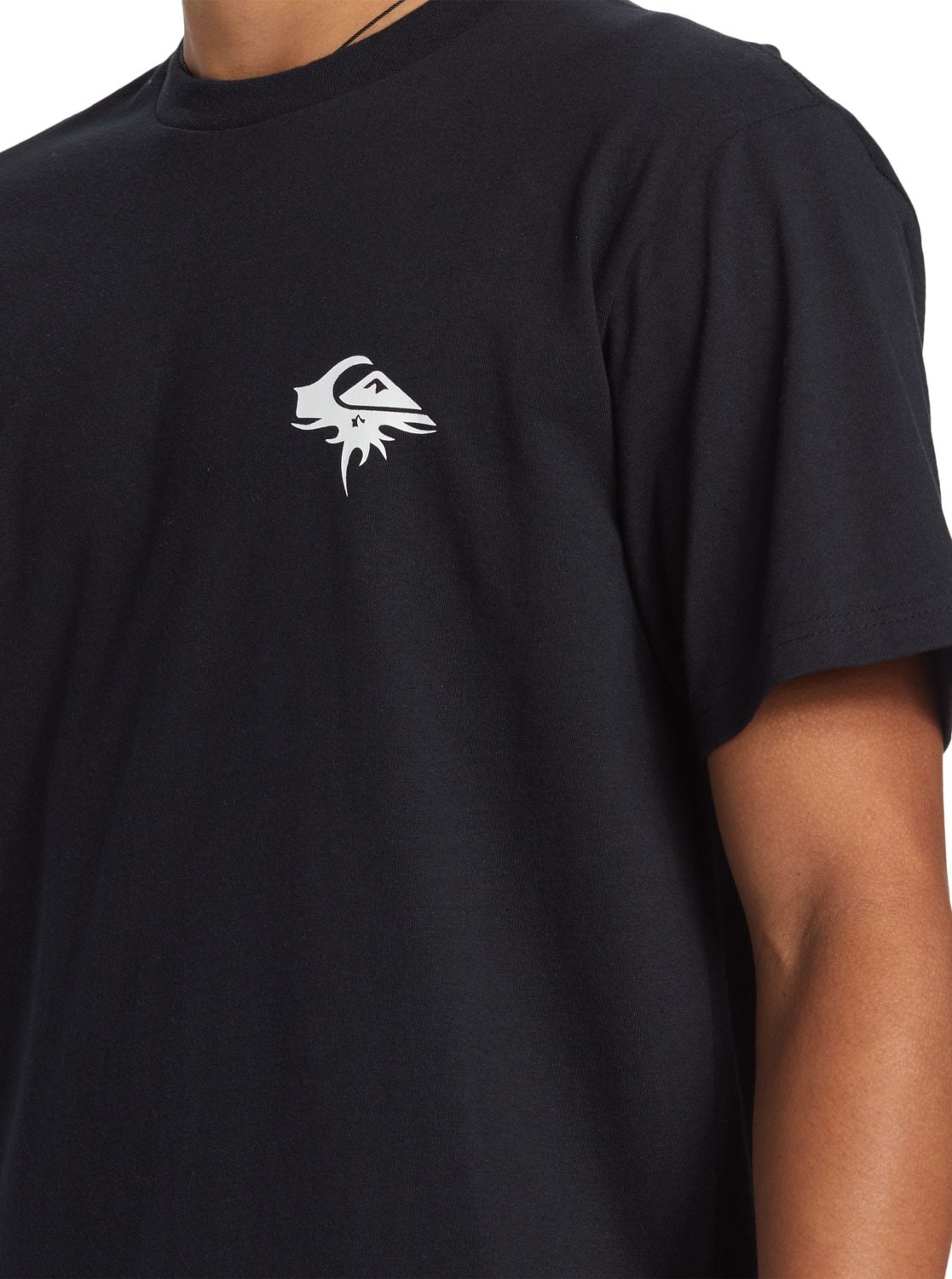 Quiksilver T-Shirt »QS Thorn Logo DNA«