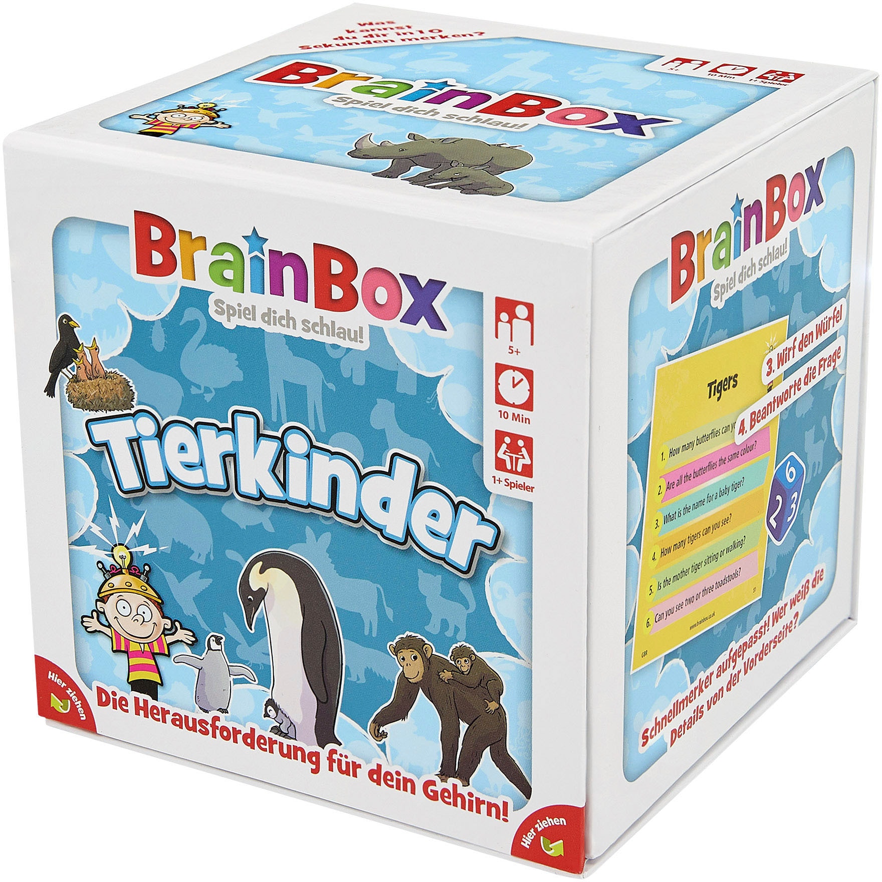 Brain Box Spiel