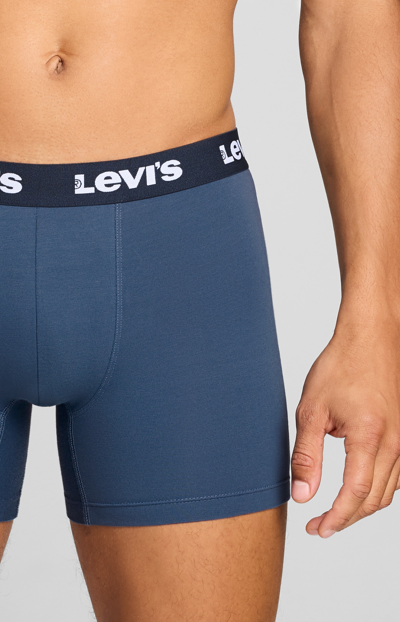 Levi's® Boxer »LEVIS MEN REPEAT LOGO BOXER BRIEF« 2er Pack,  ohne Eingriff, Logobund, elastisch