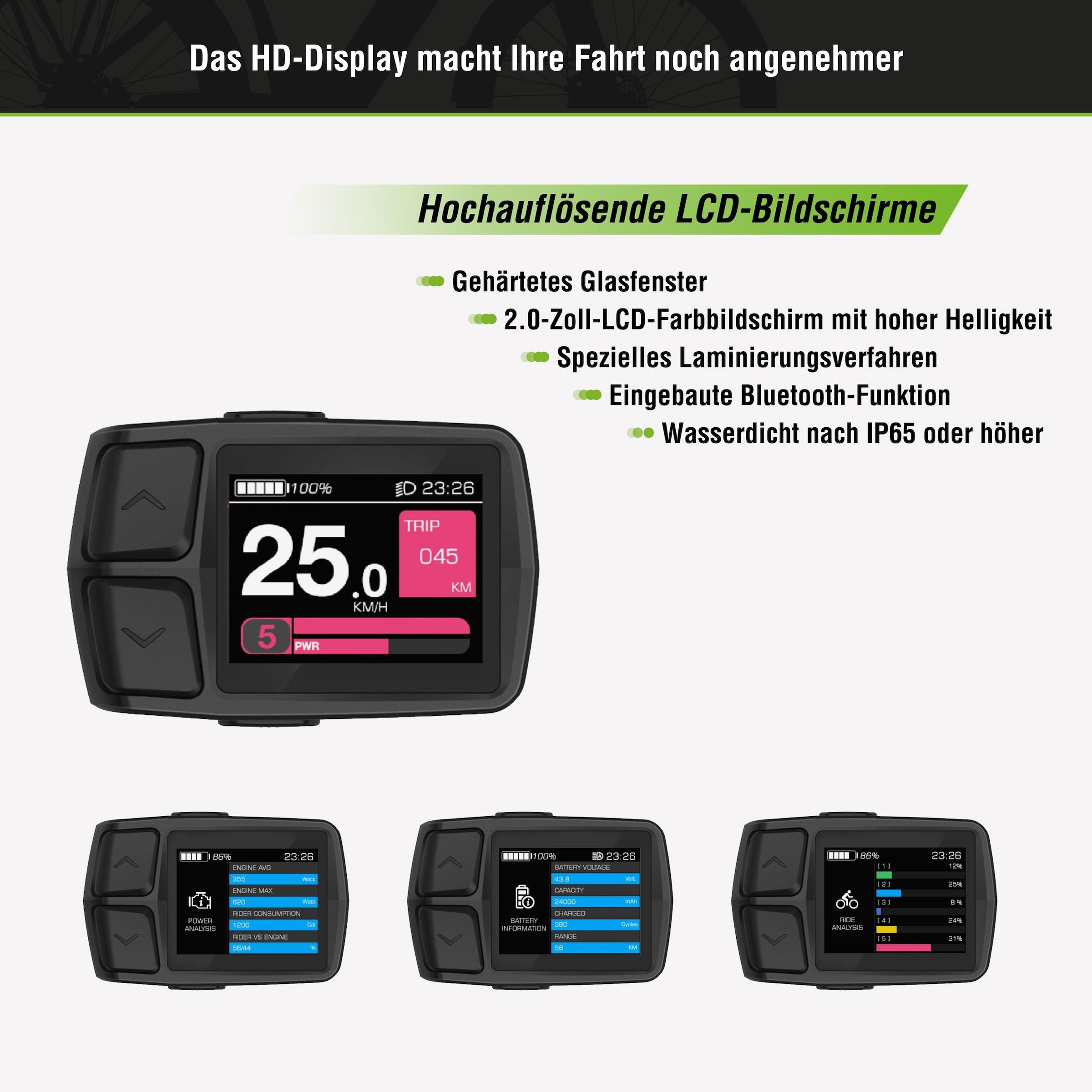 SachsenRad »C5 Centro II mit Diebstahlsicherung« 8 Gang Shimano Kettenschaltung Mittelmotor 250 W