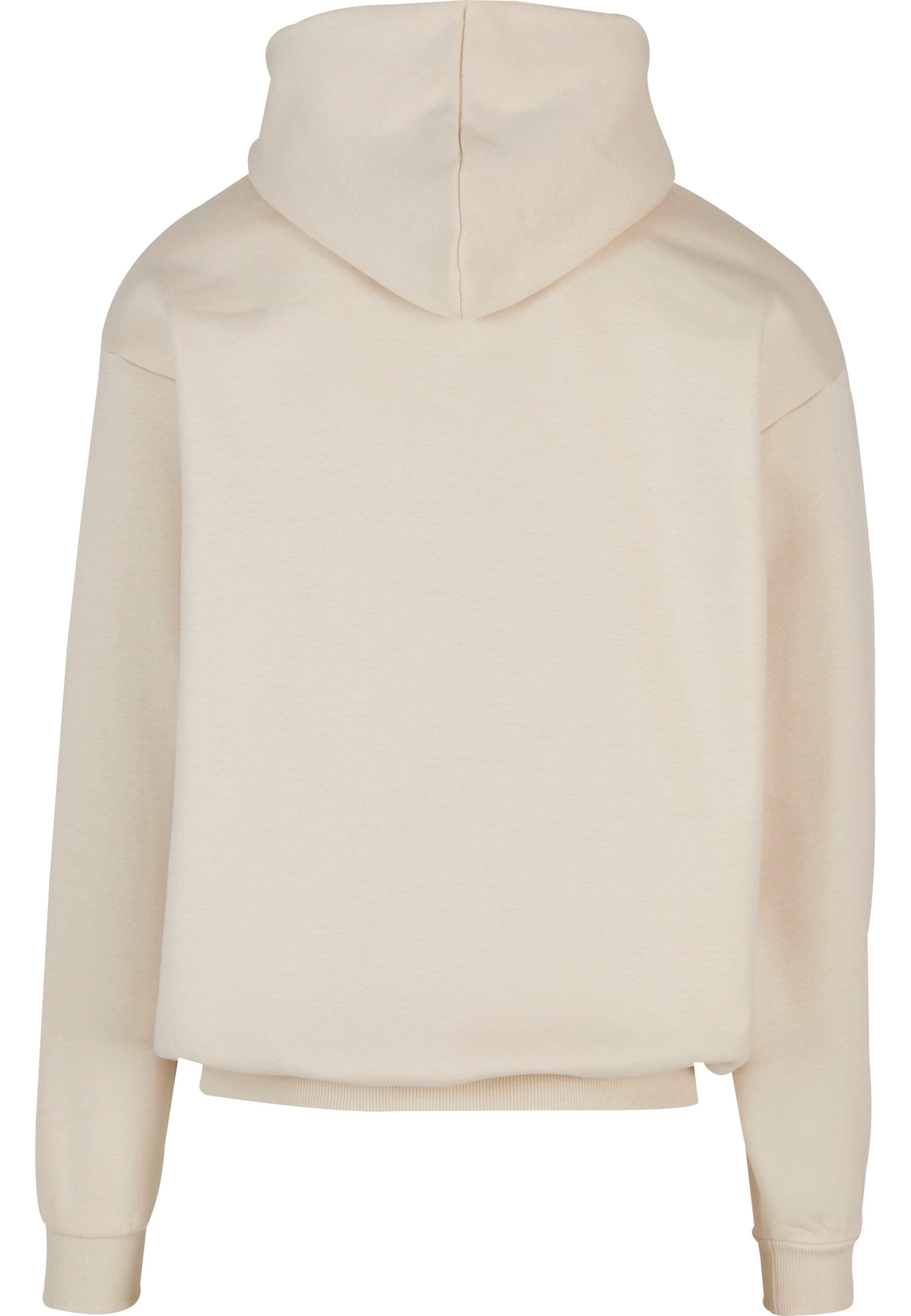 Karl Kani Kapuzensweatshirt »Karl Kani Karl Kani OG Eagle Print OS Hoodie«, (1 tlg.)