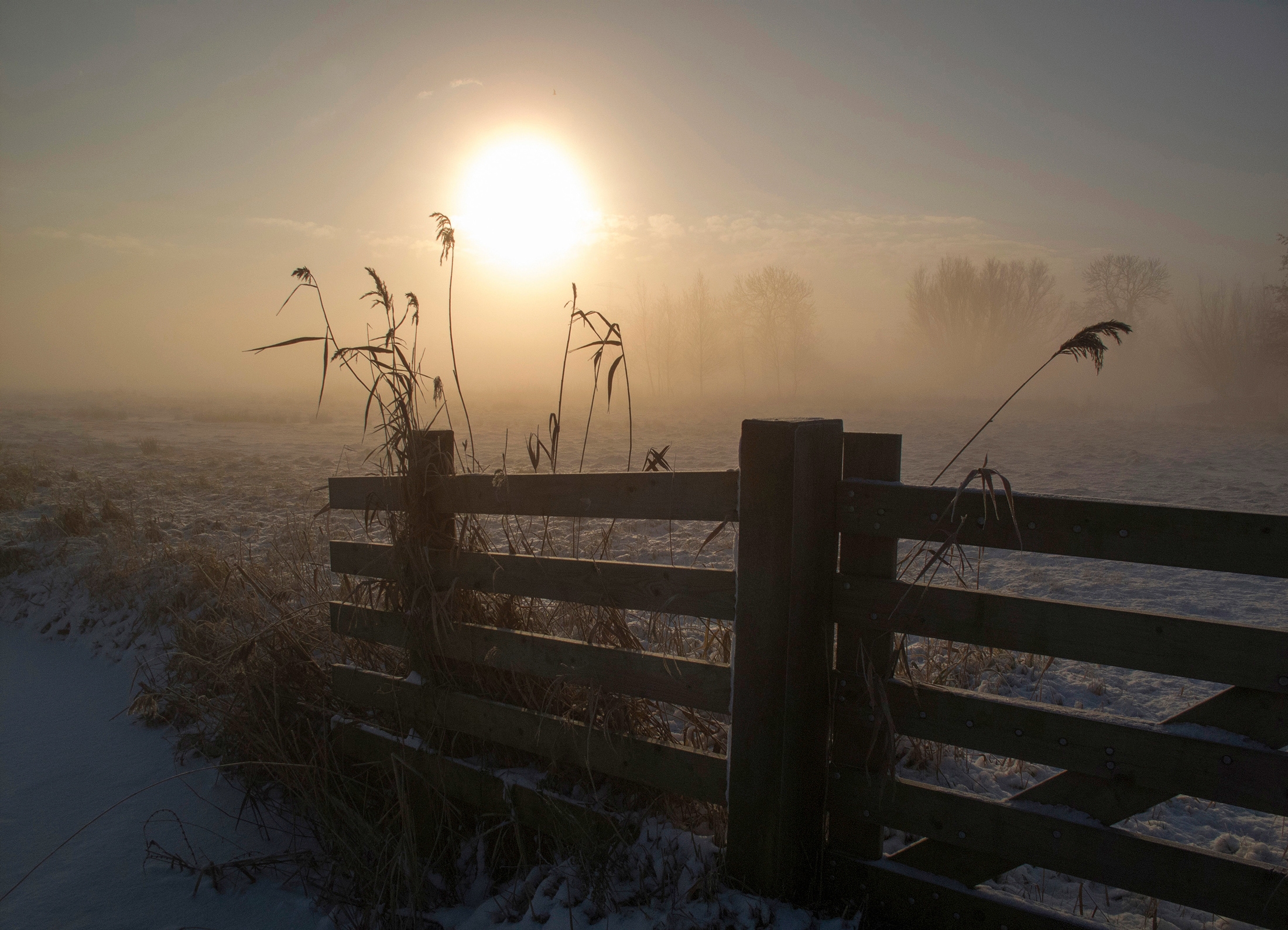 Papermoon Fototapete "Photo-Art ALIDA VAN ZAANE, WINTERSTIMMUNG"