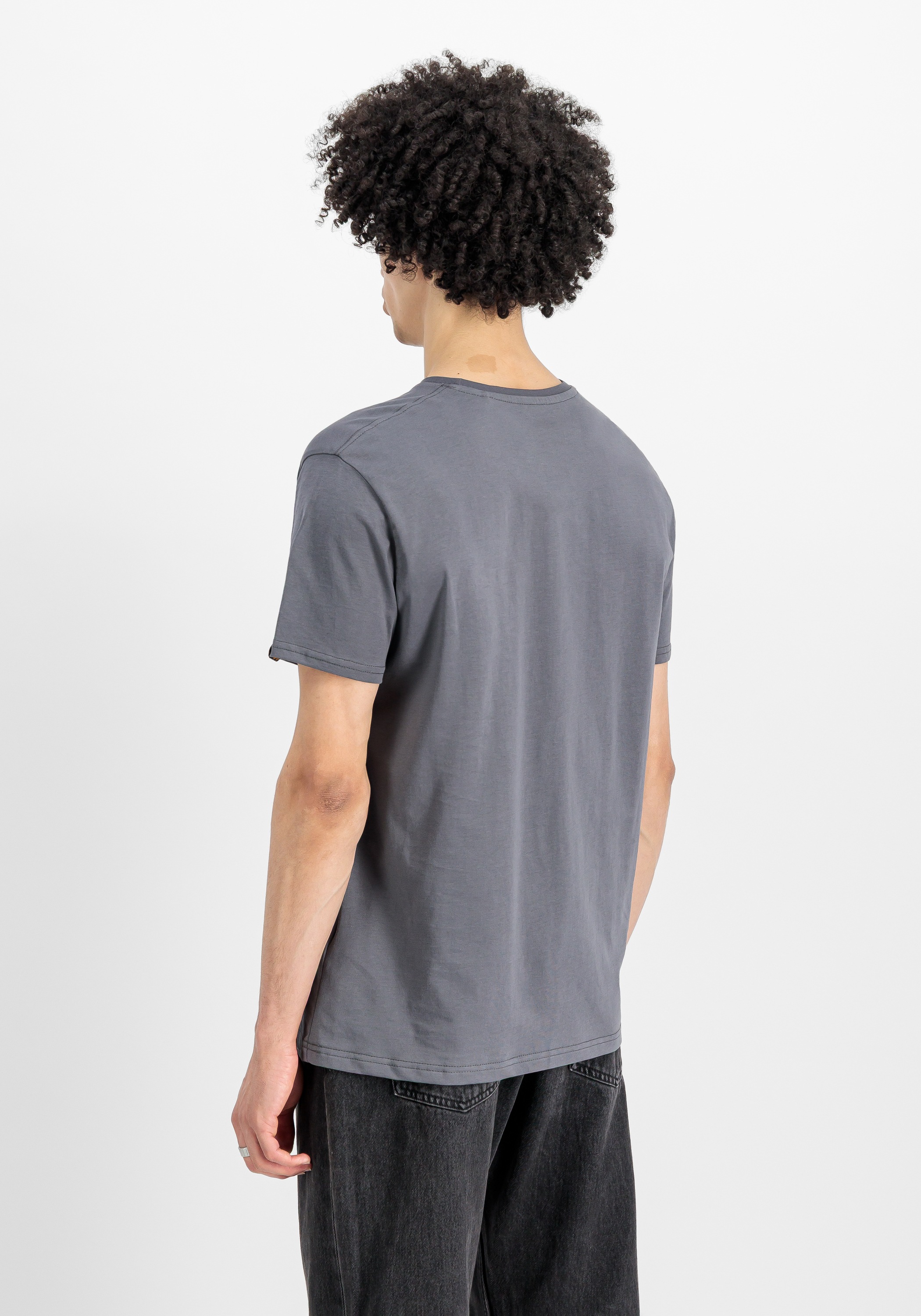 Alpha Industries T-Shirt »Basic T-Shirt ML«