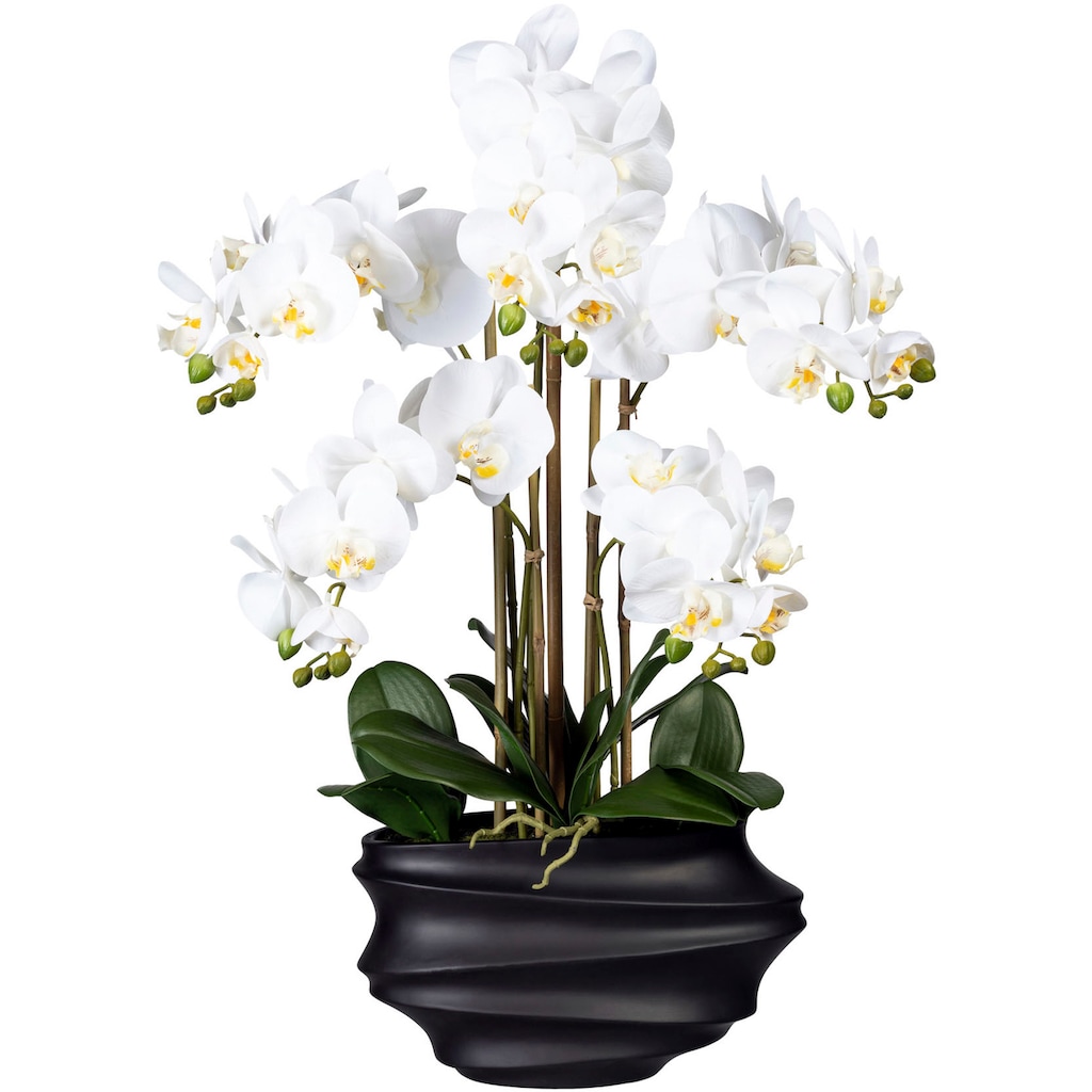 Creativ green Kunstorchidee »Phalaenopsis«