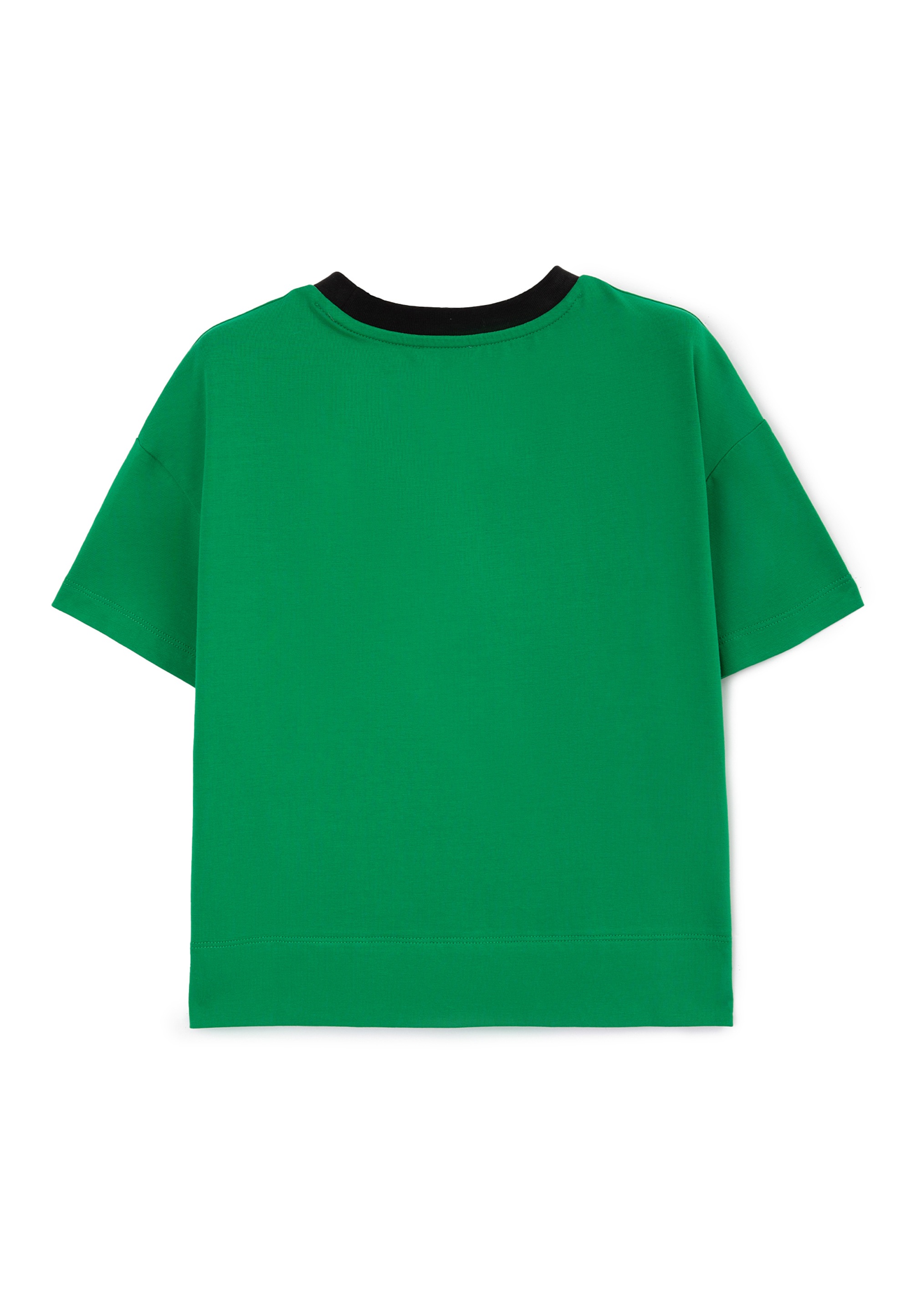 Gulliver T-Shirt, mit Frontdruck
